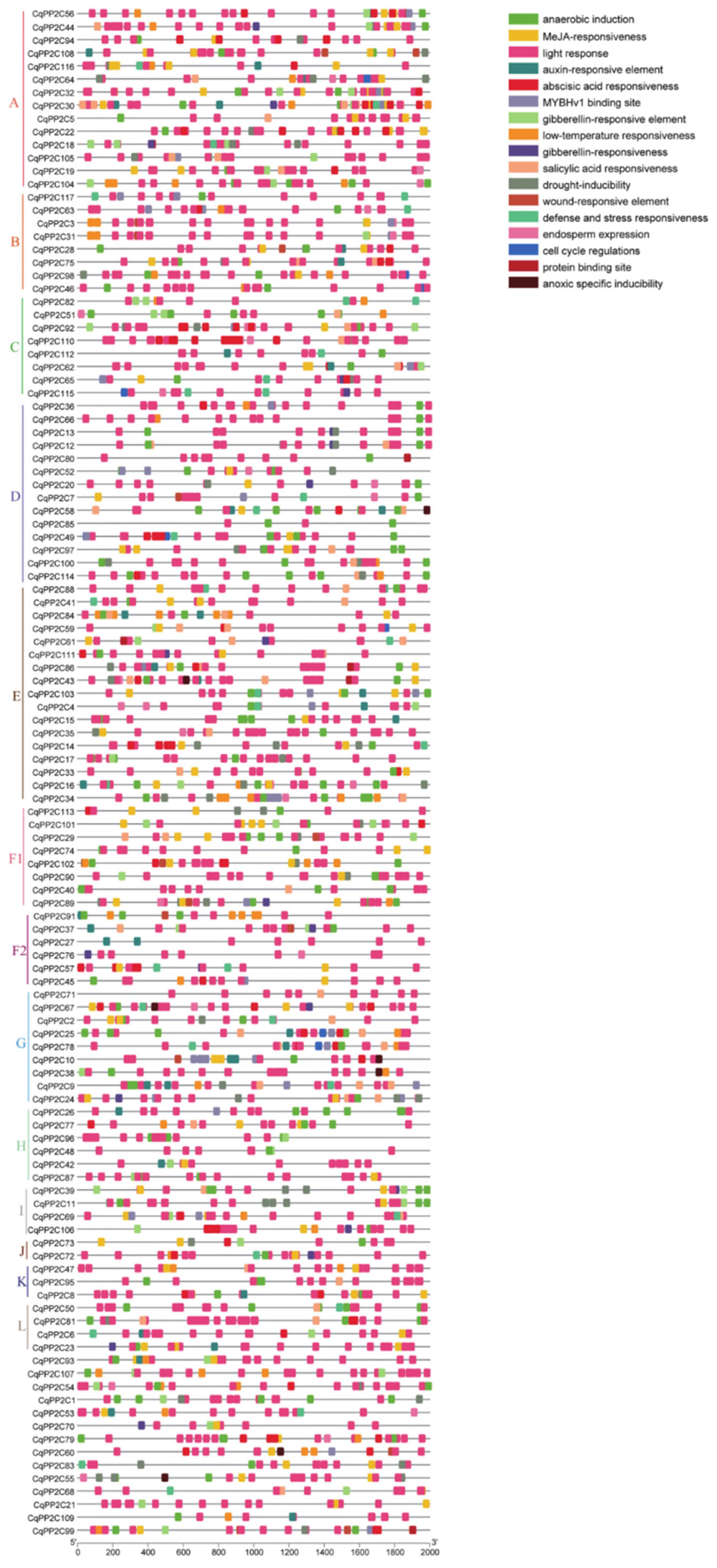 Preprints 91762 g004