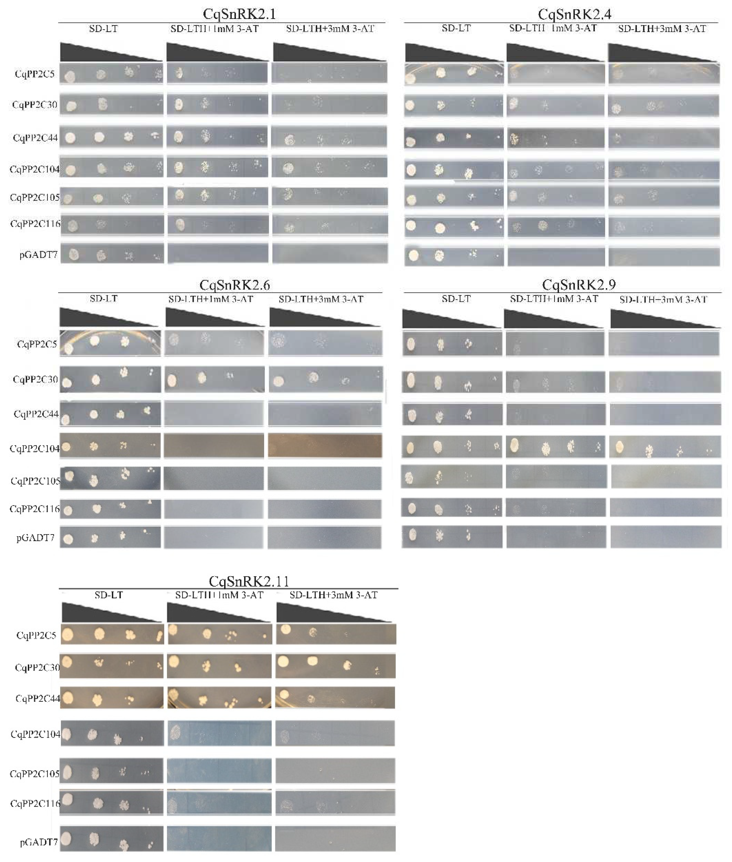 Preprints 91762 g008