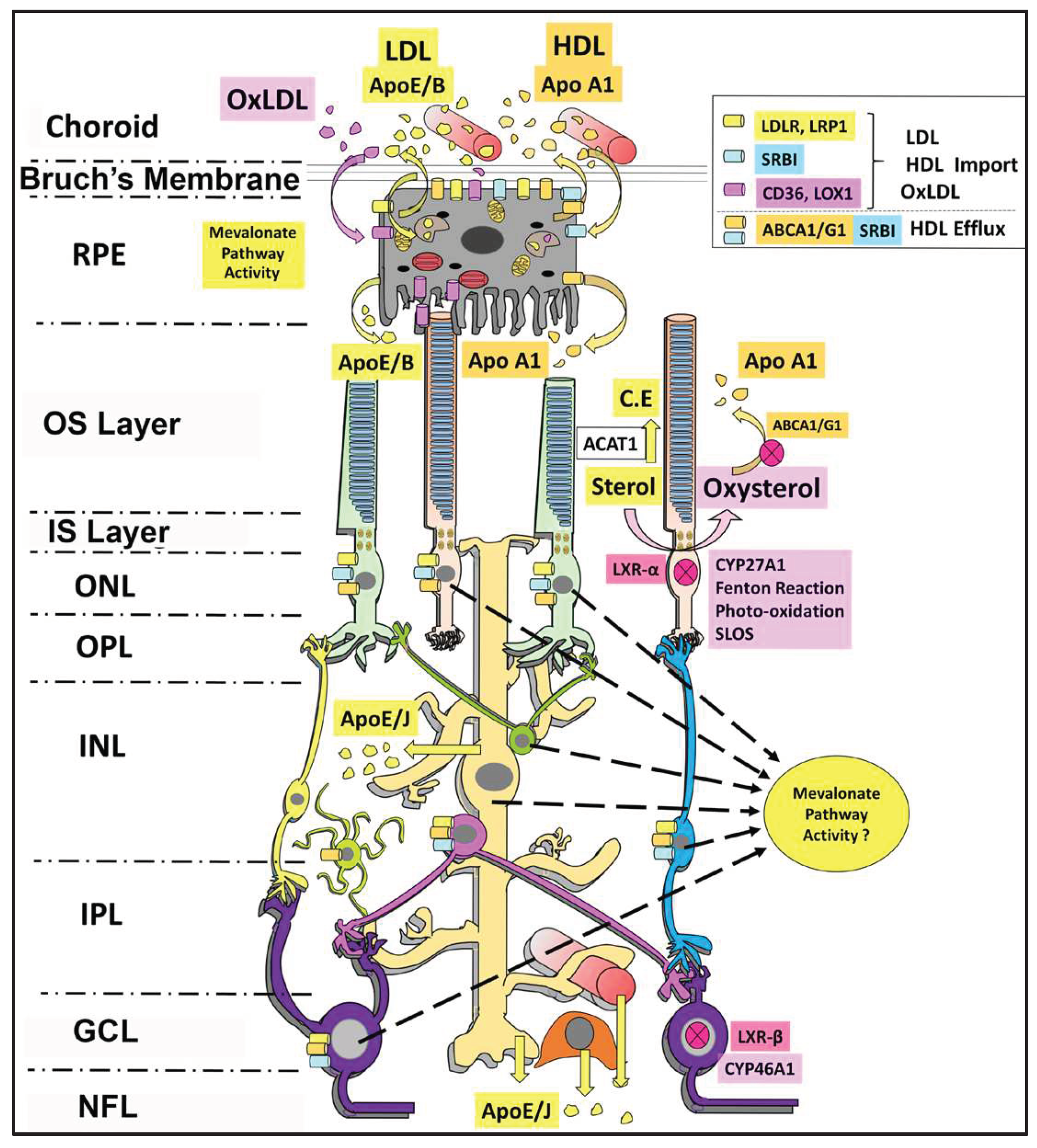 Preprints 98665 g001