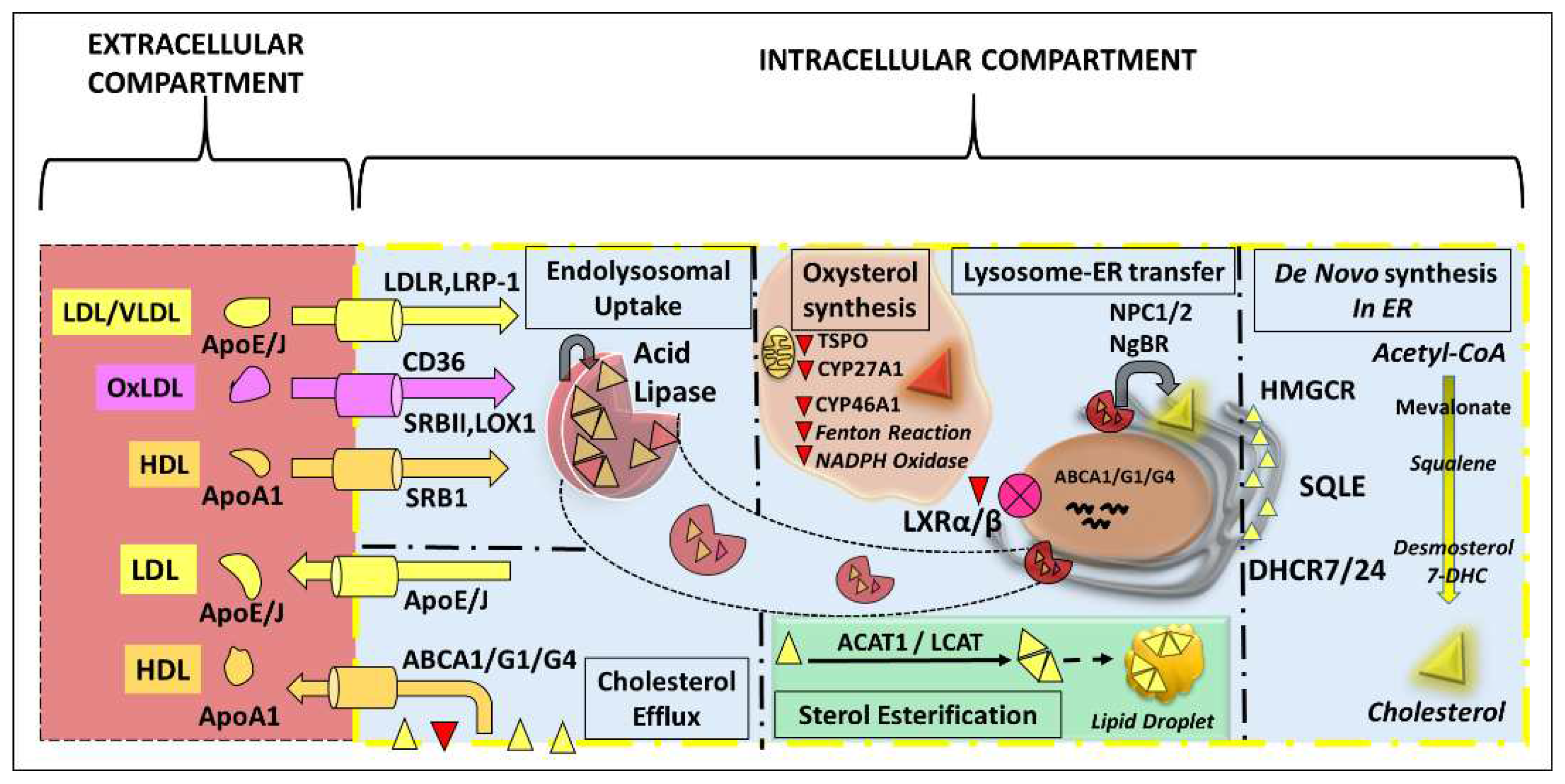 Preprints 98665 g002