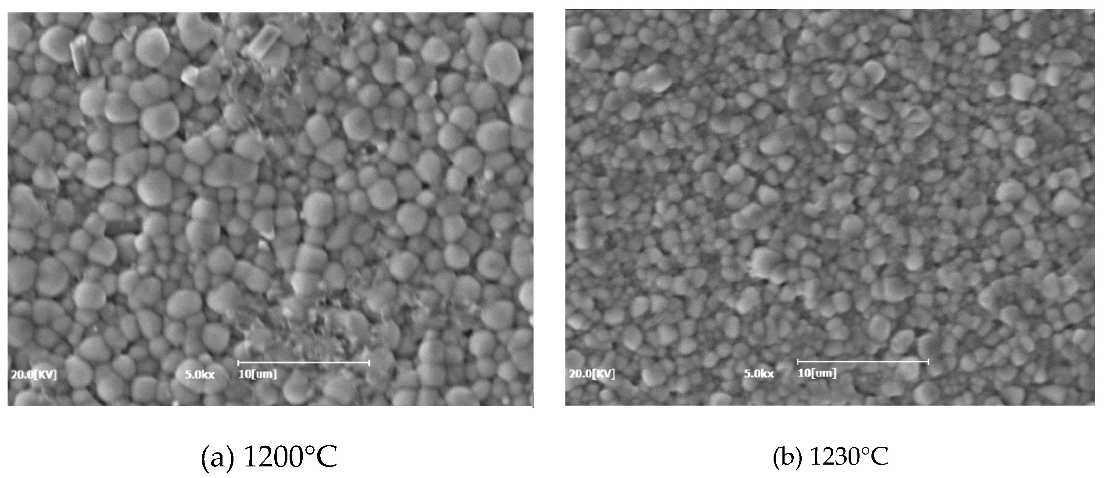 Preprints 104807 g002