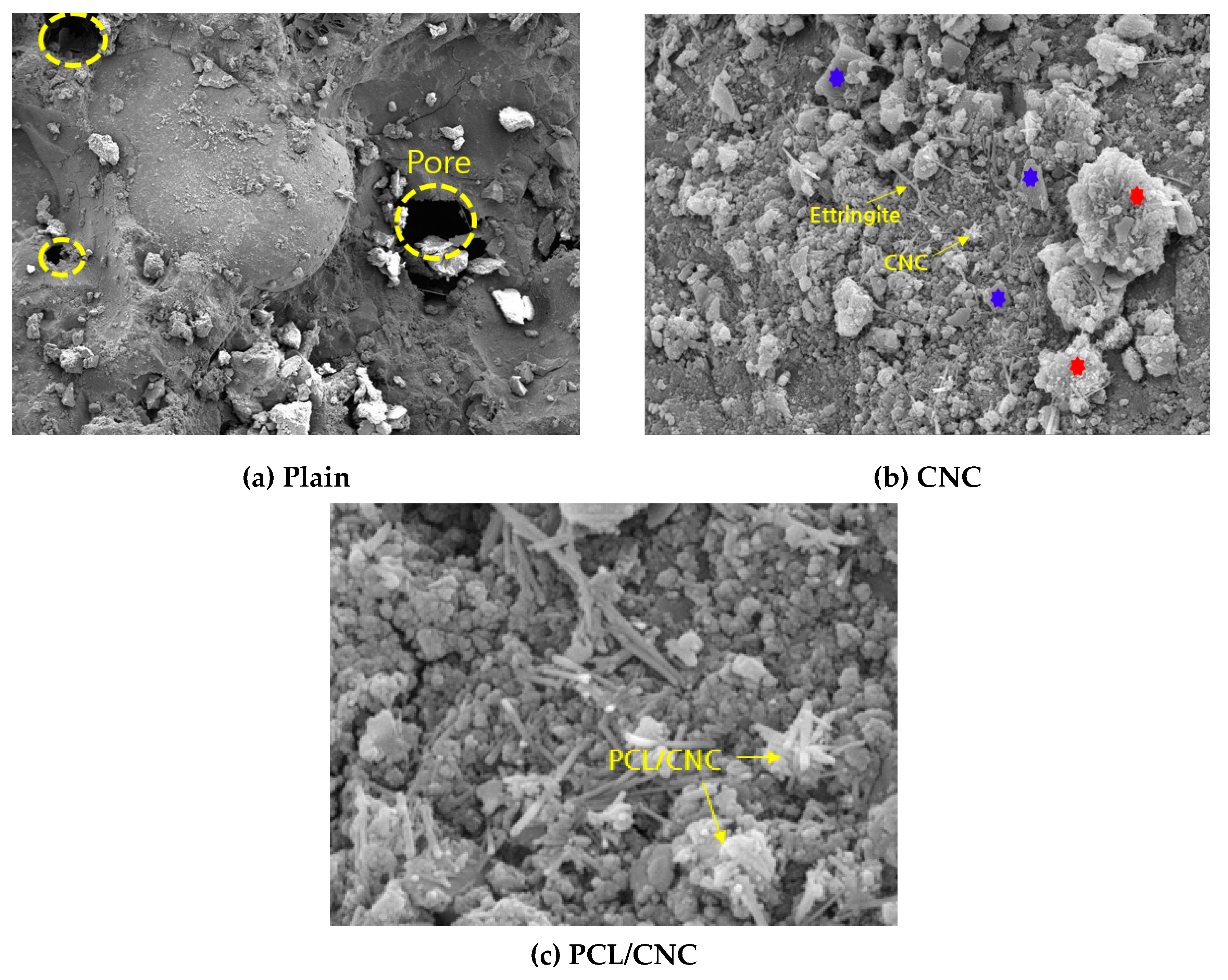 Preprints 80612 g009