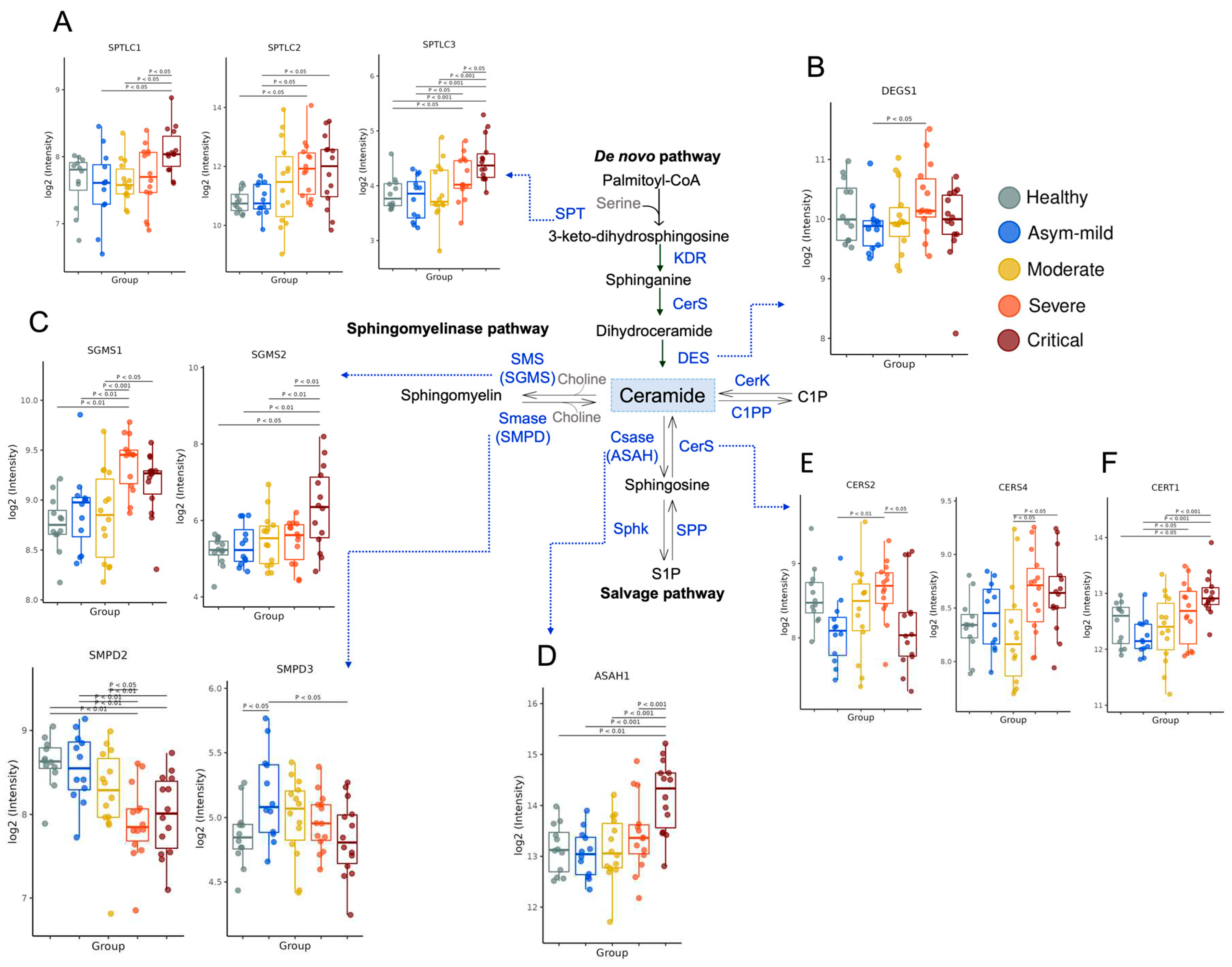 Preprints 76225 g001