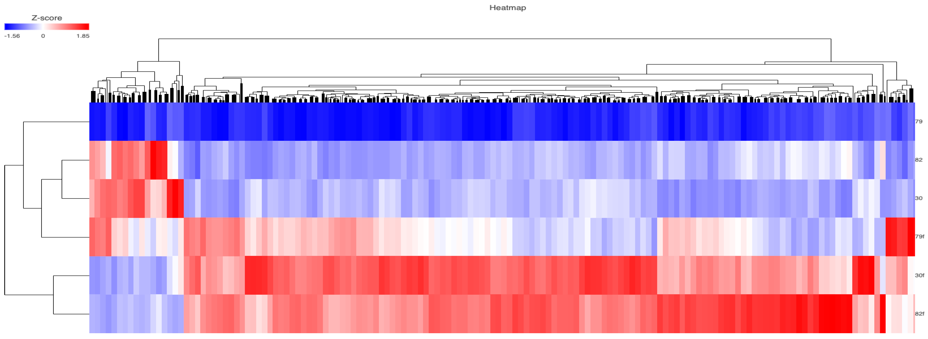 Preprints 96799 g002