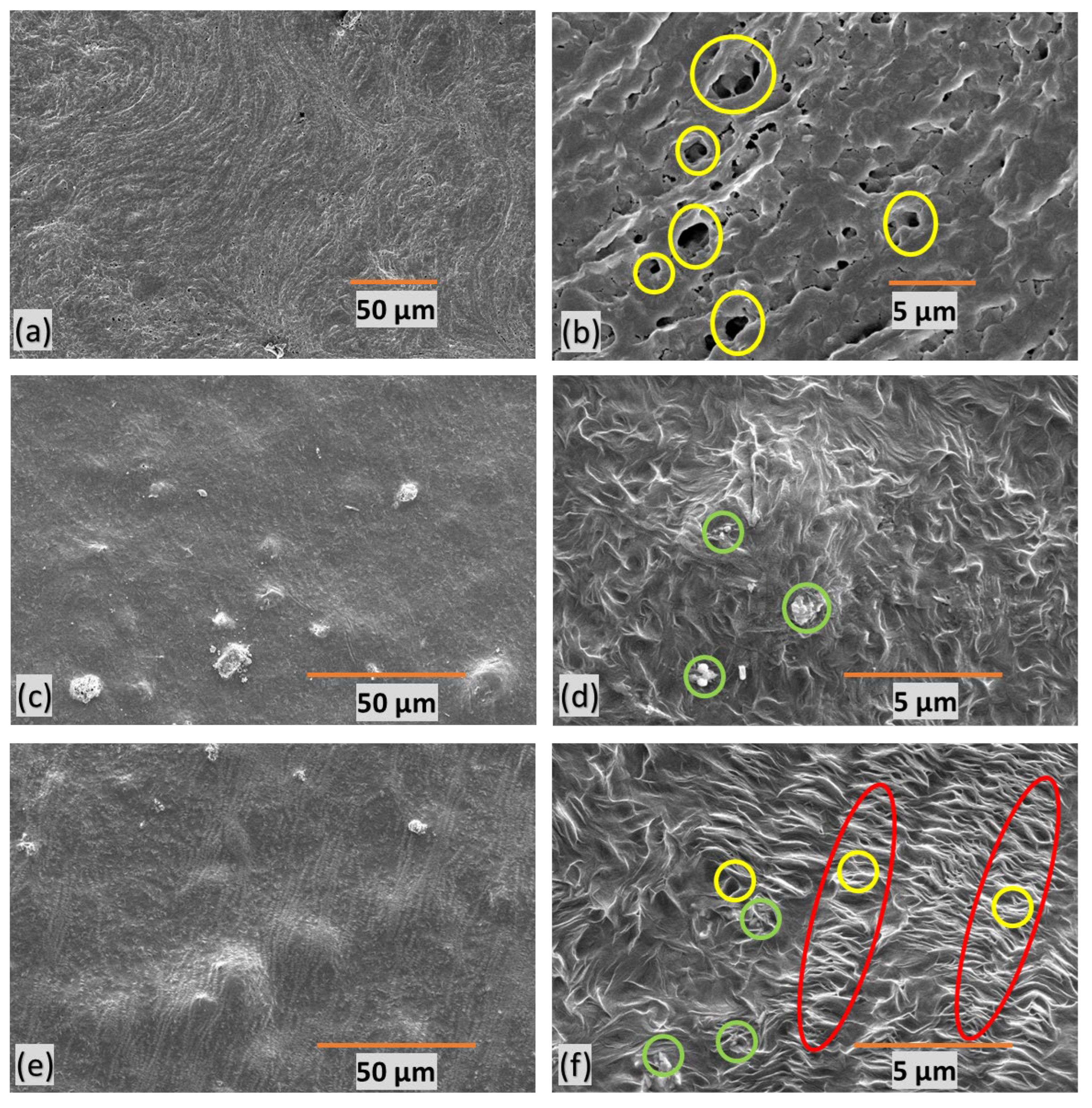 Preprints 105937 g006