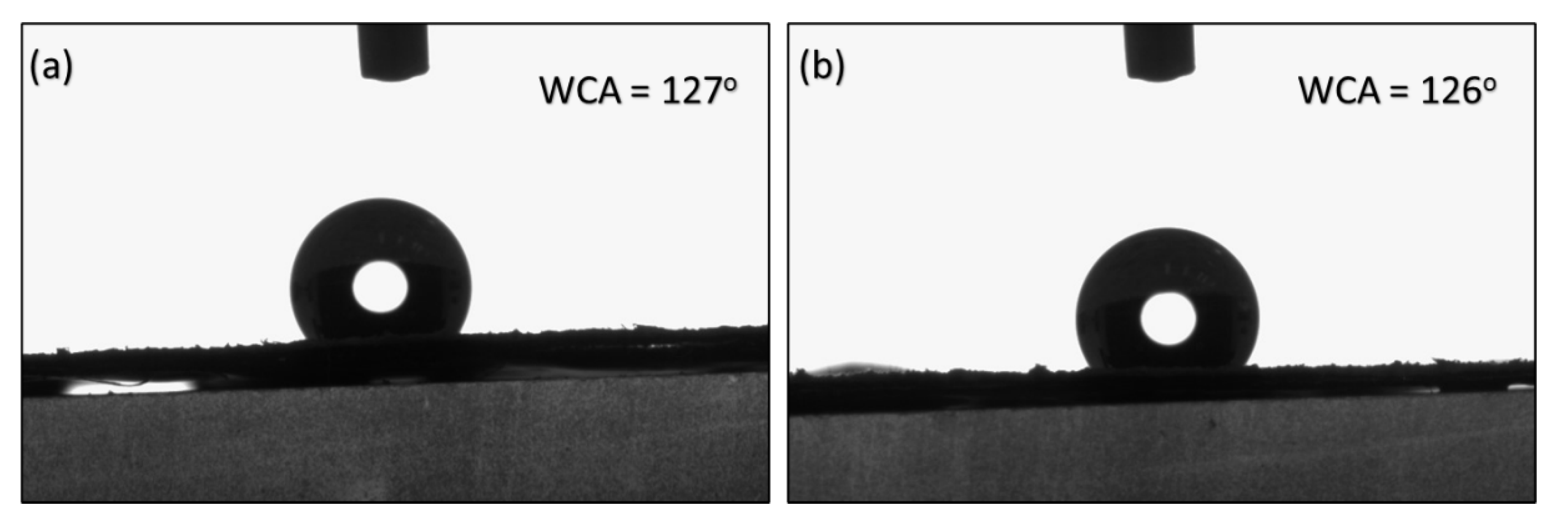 Preprints 105937 g007