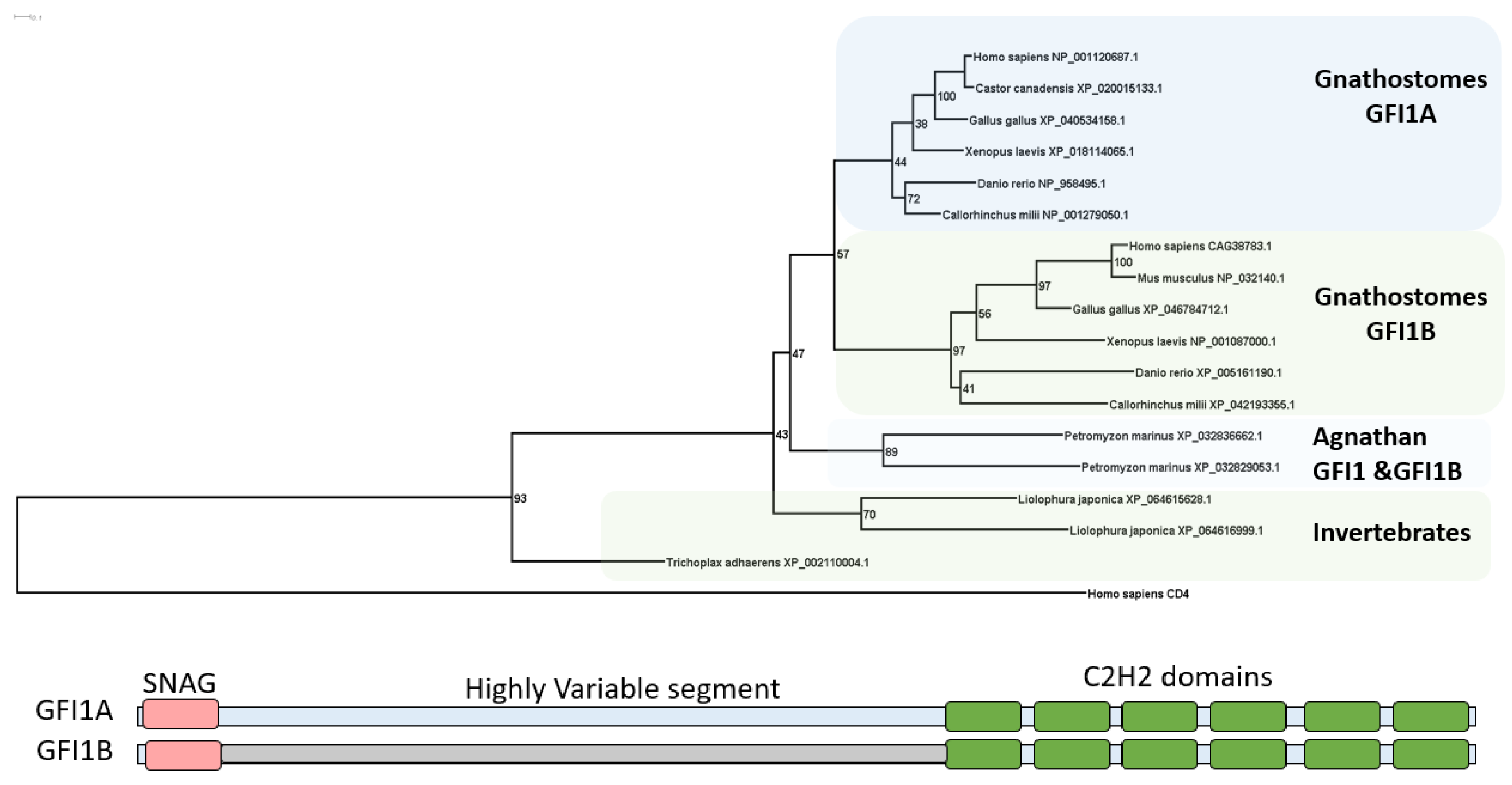 Preprints 119487 g001