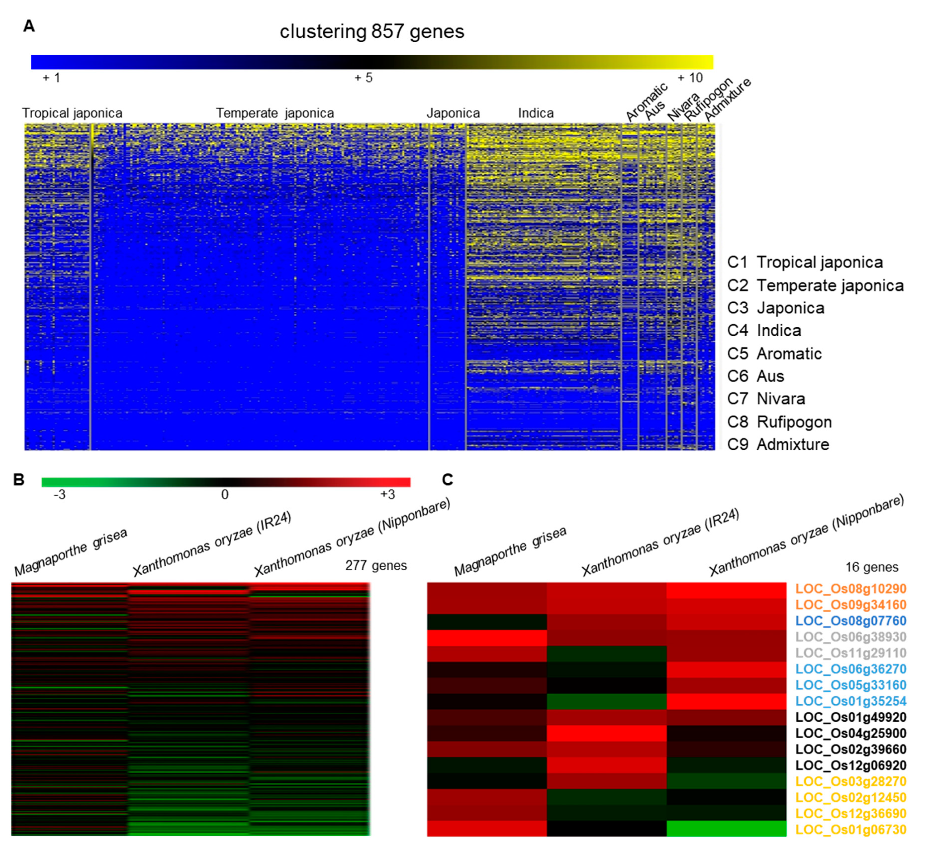 Preprints 96085 g001