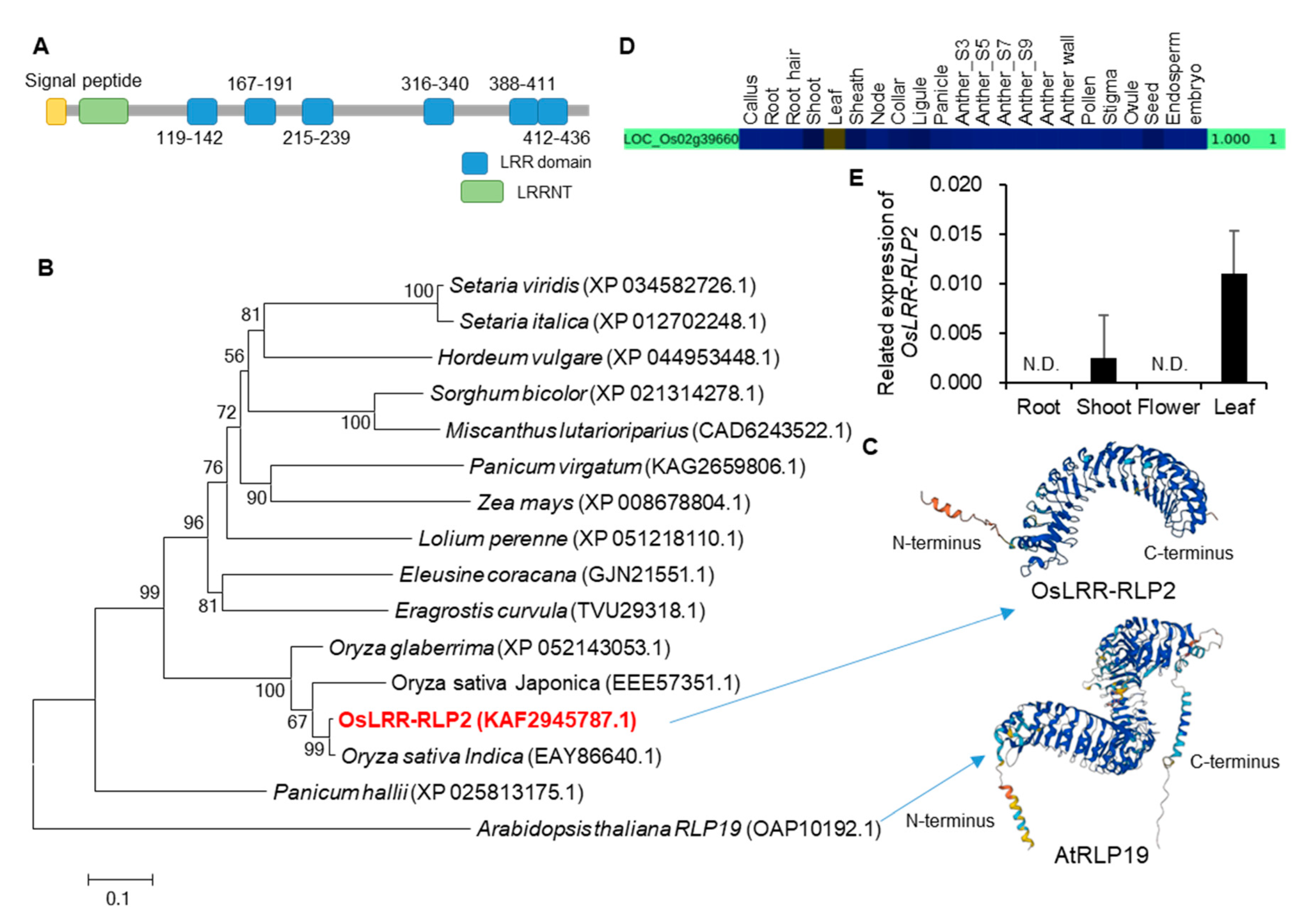 Preprints 96085 g002