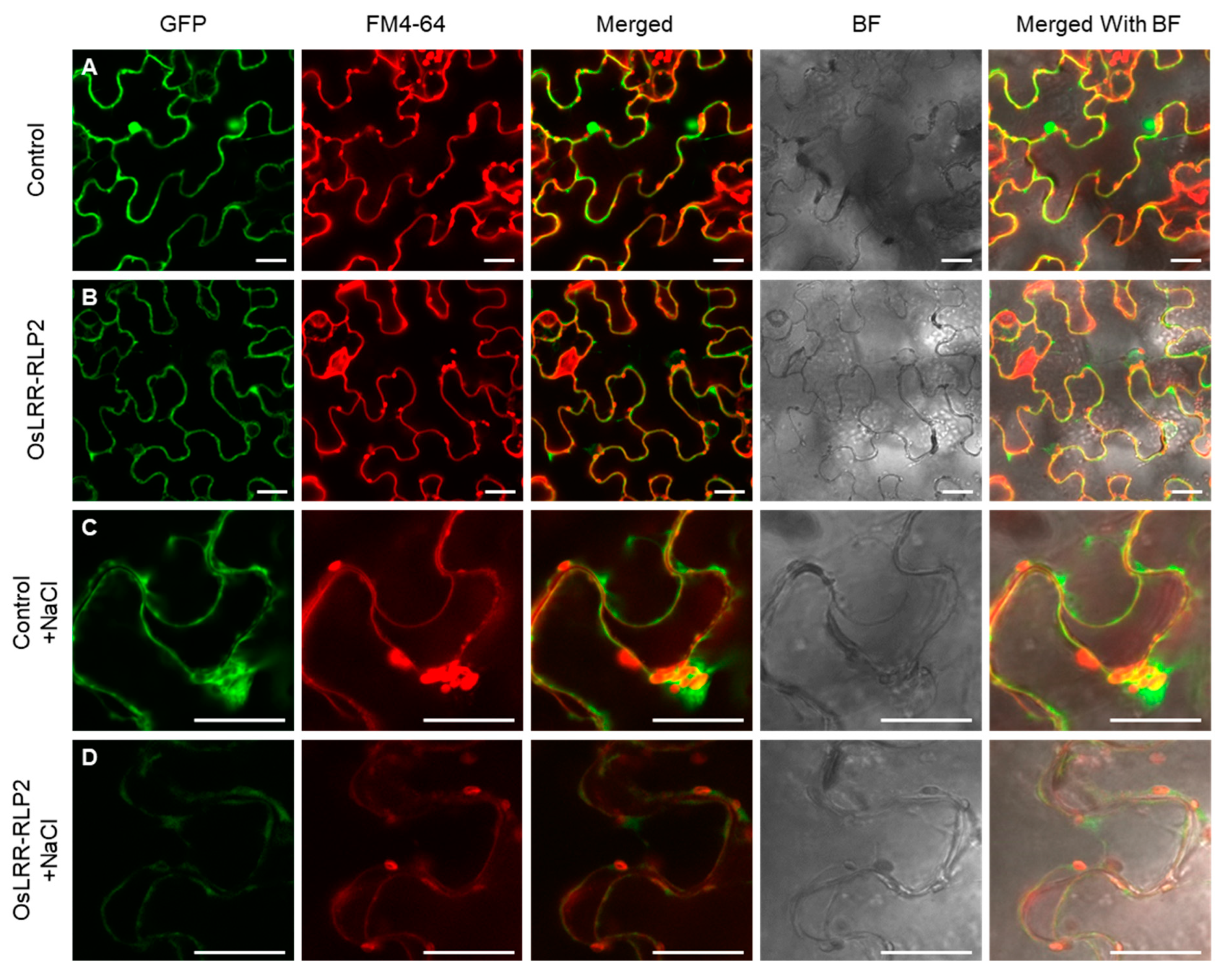 Preprints 96085 g003