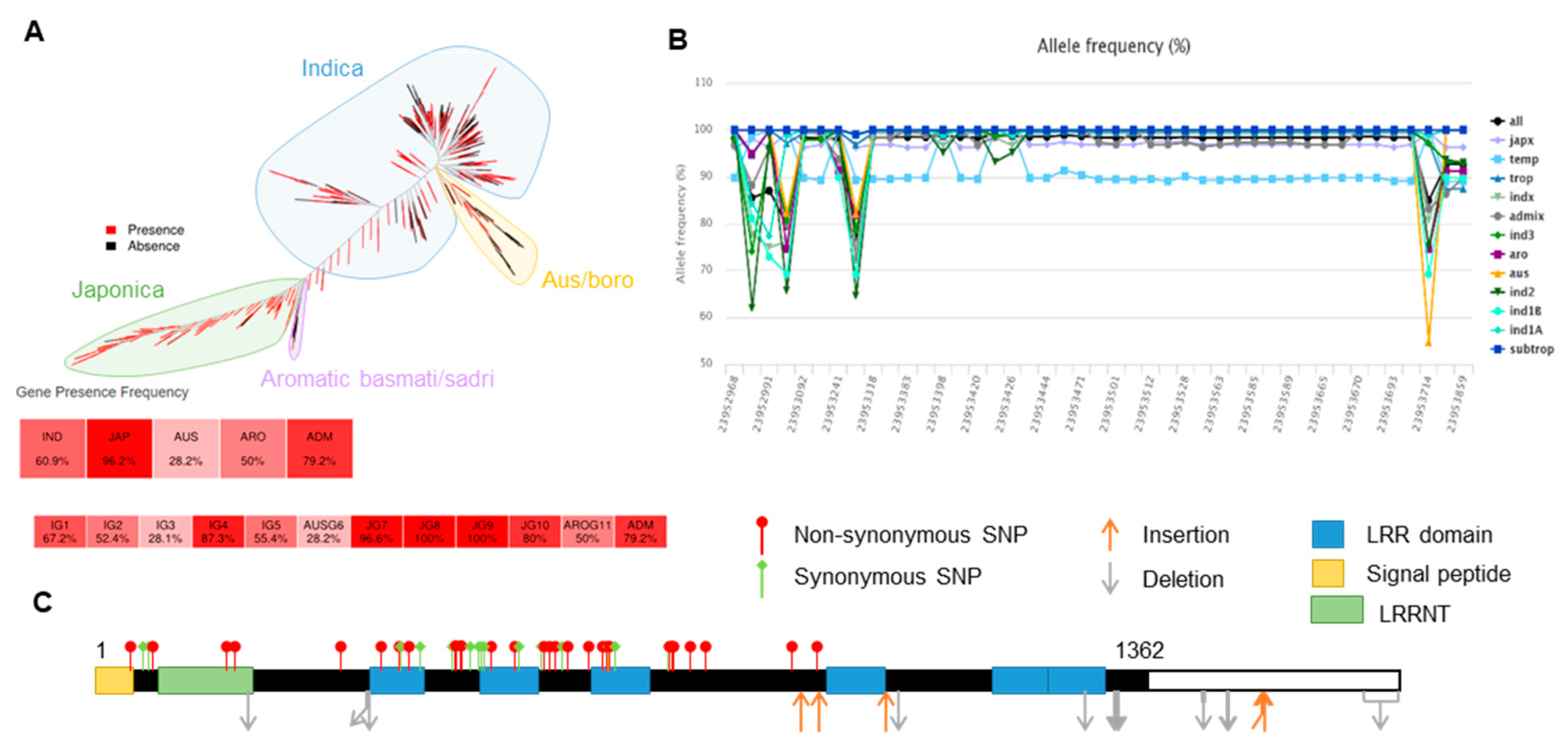 Preprints 96085 g004