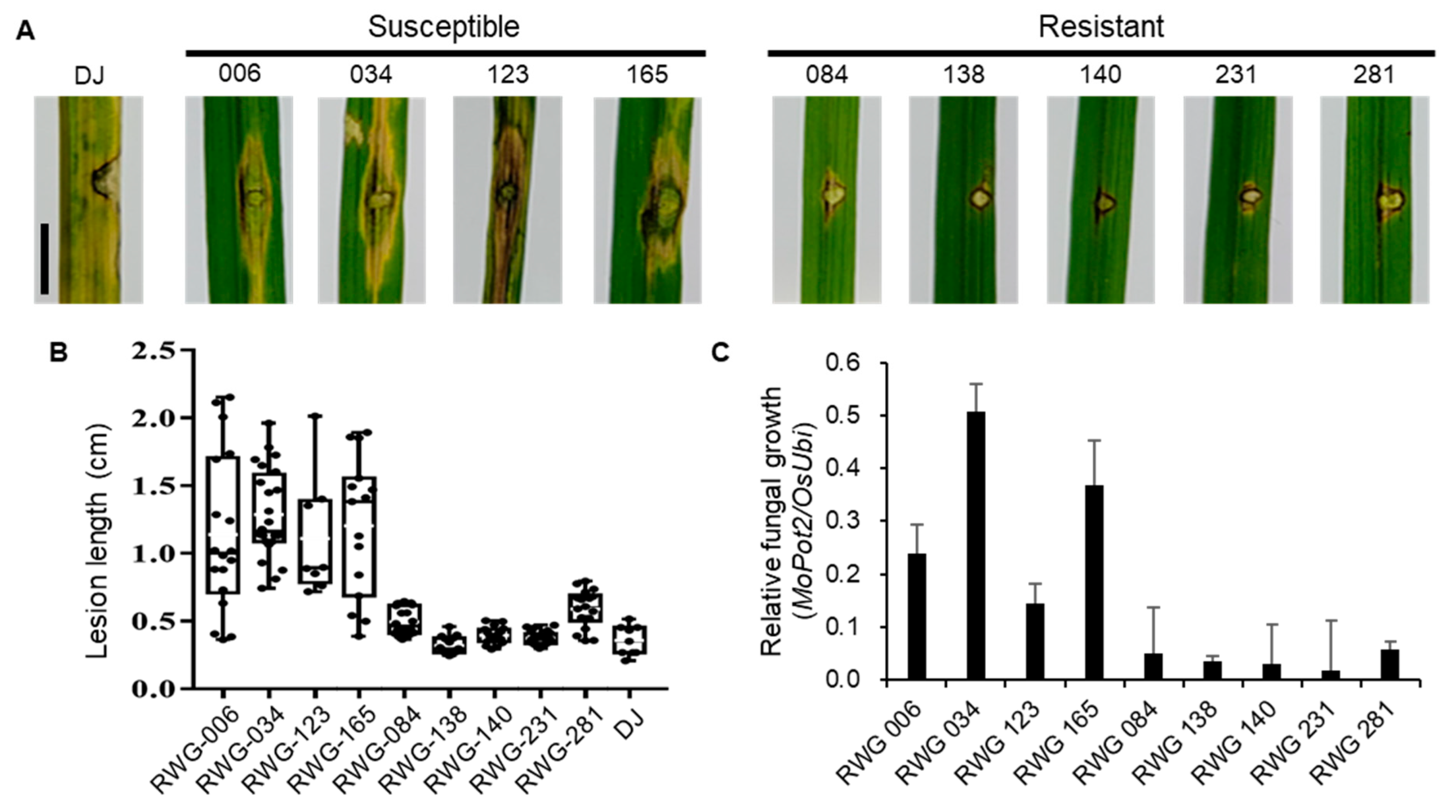 Preprints 96085 g005