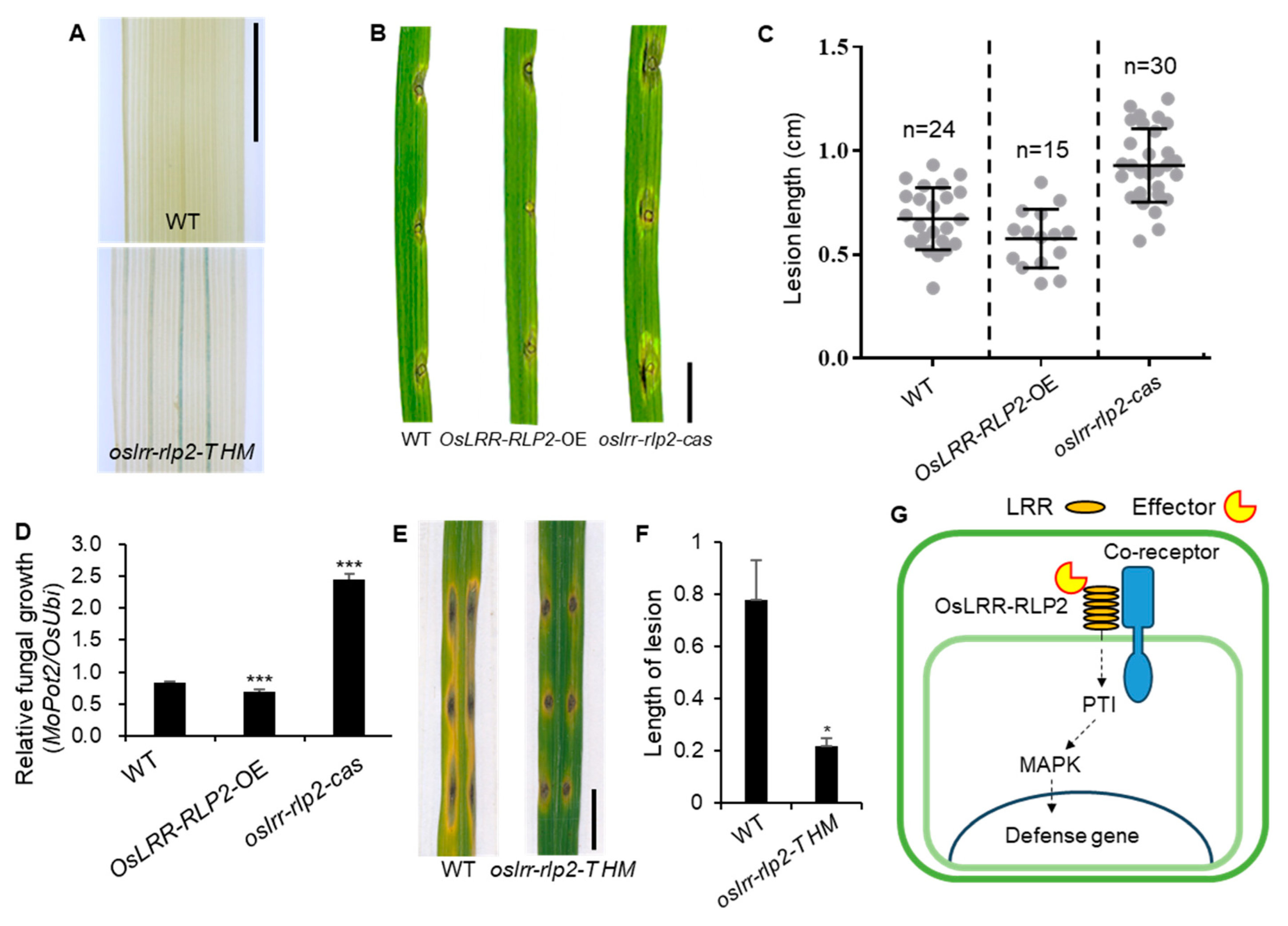 Preprints 96085 g006