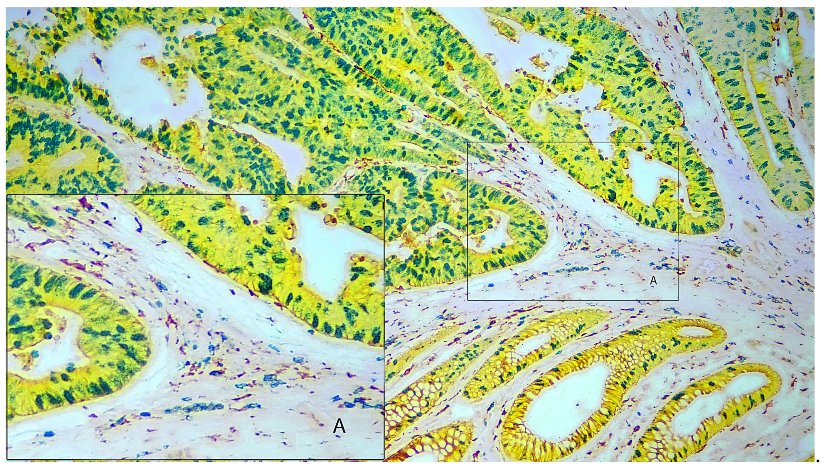 Preprints 104768 g002