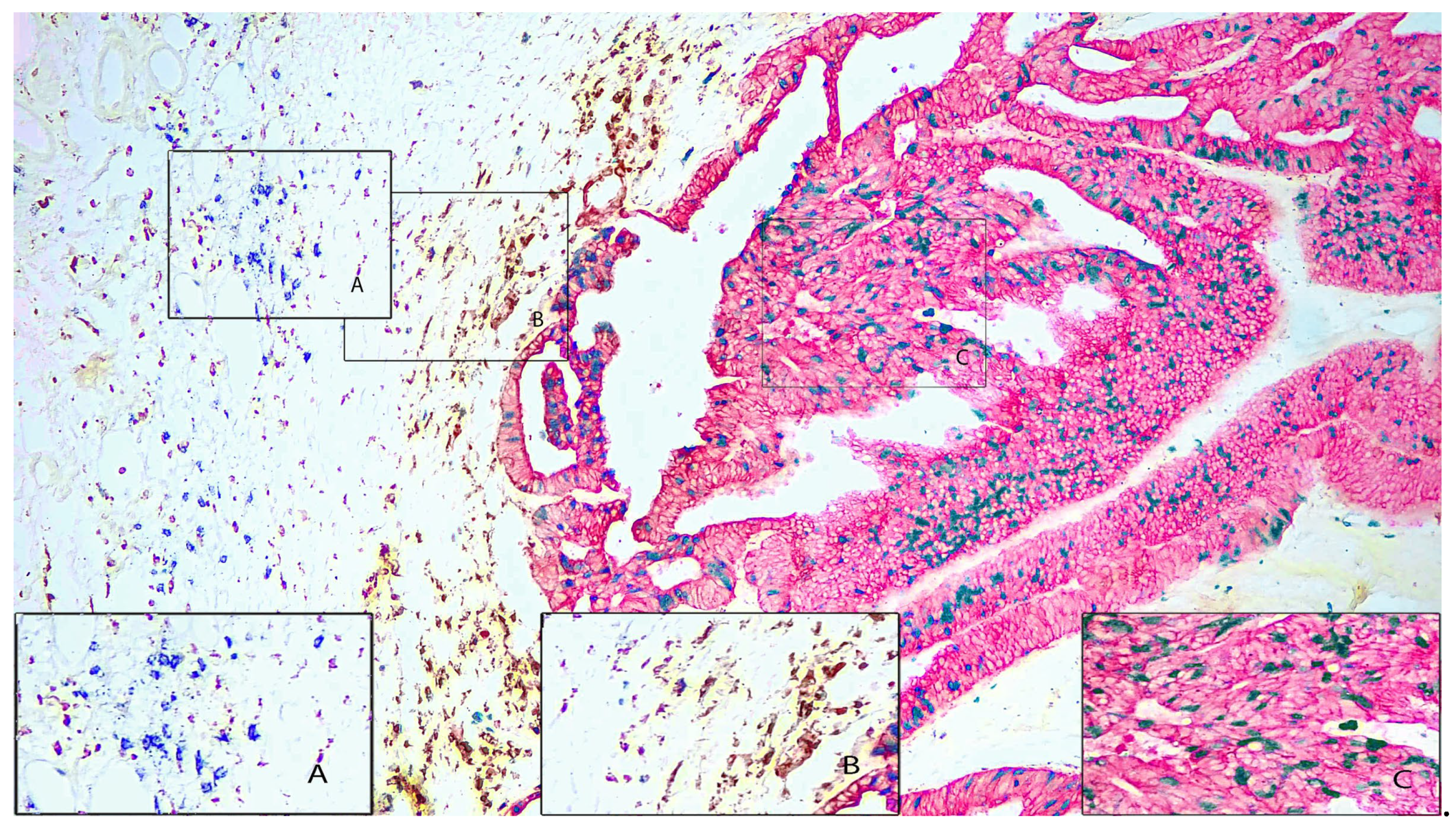 Preprints 104768 g003