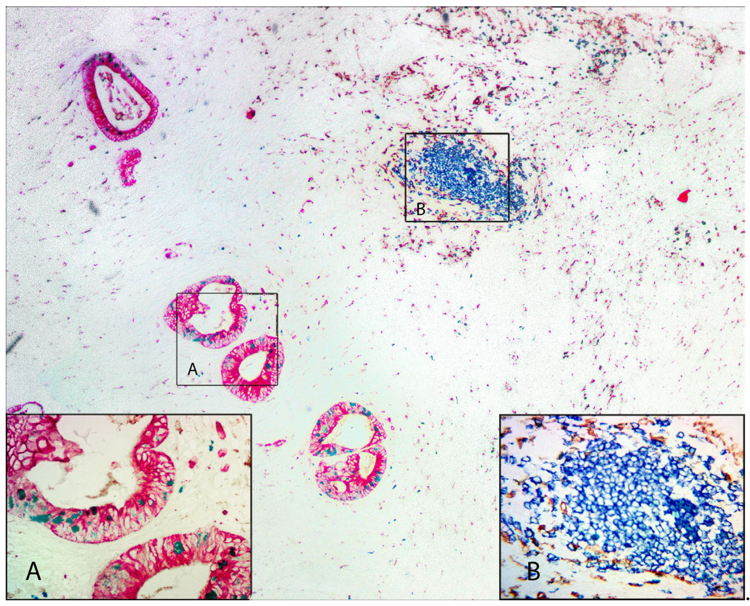 Preprints 104768 g004