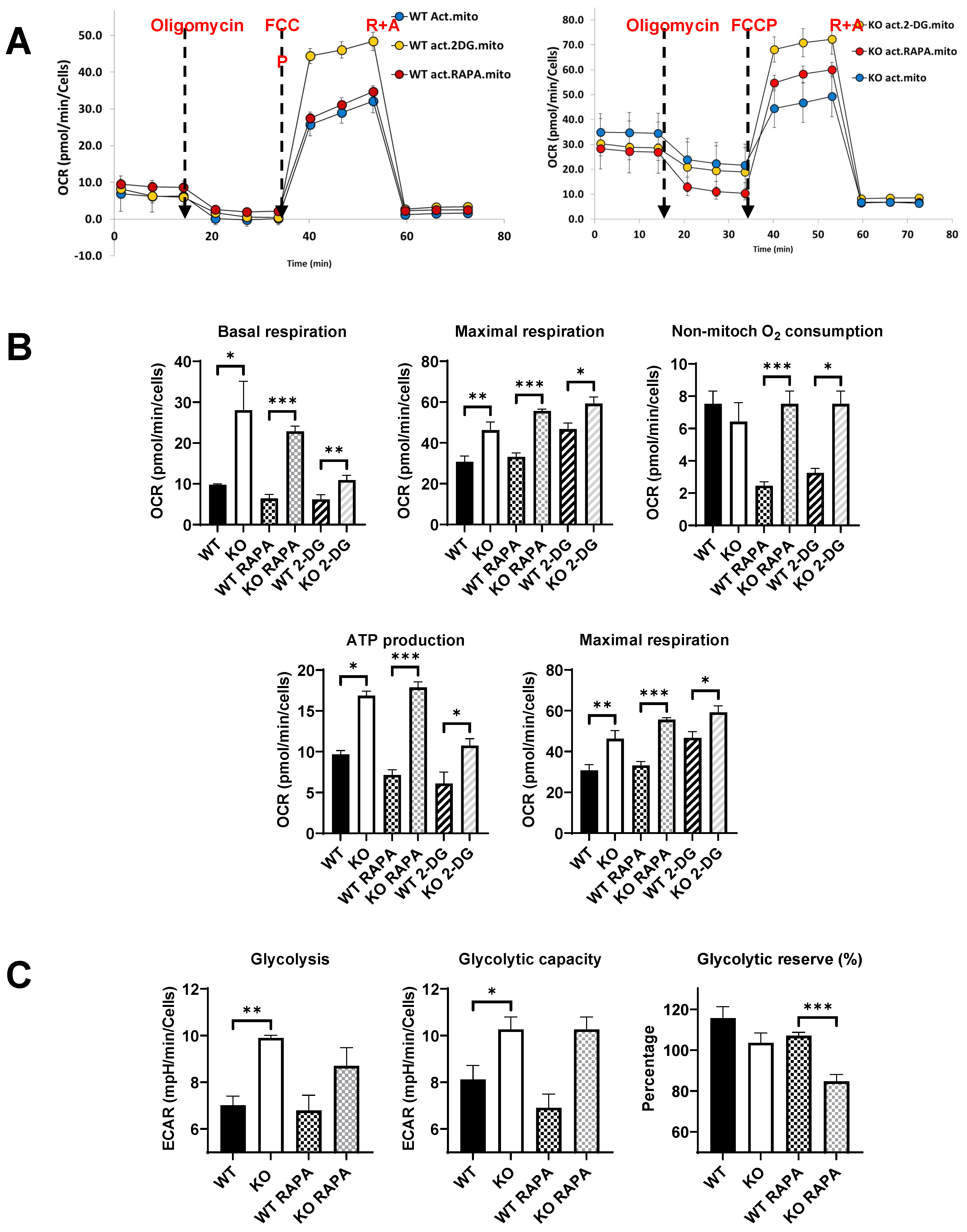 Preprints 73964 g005