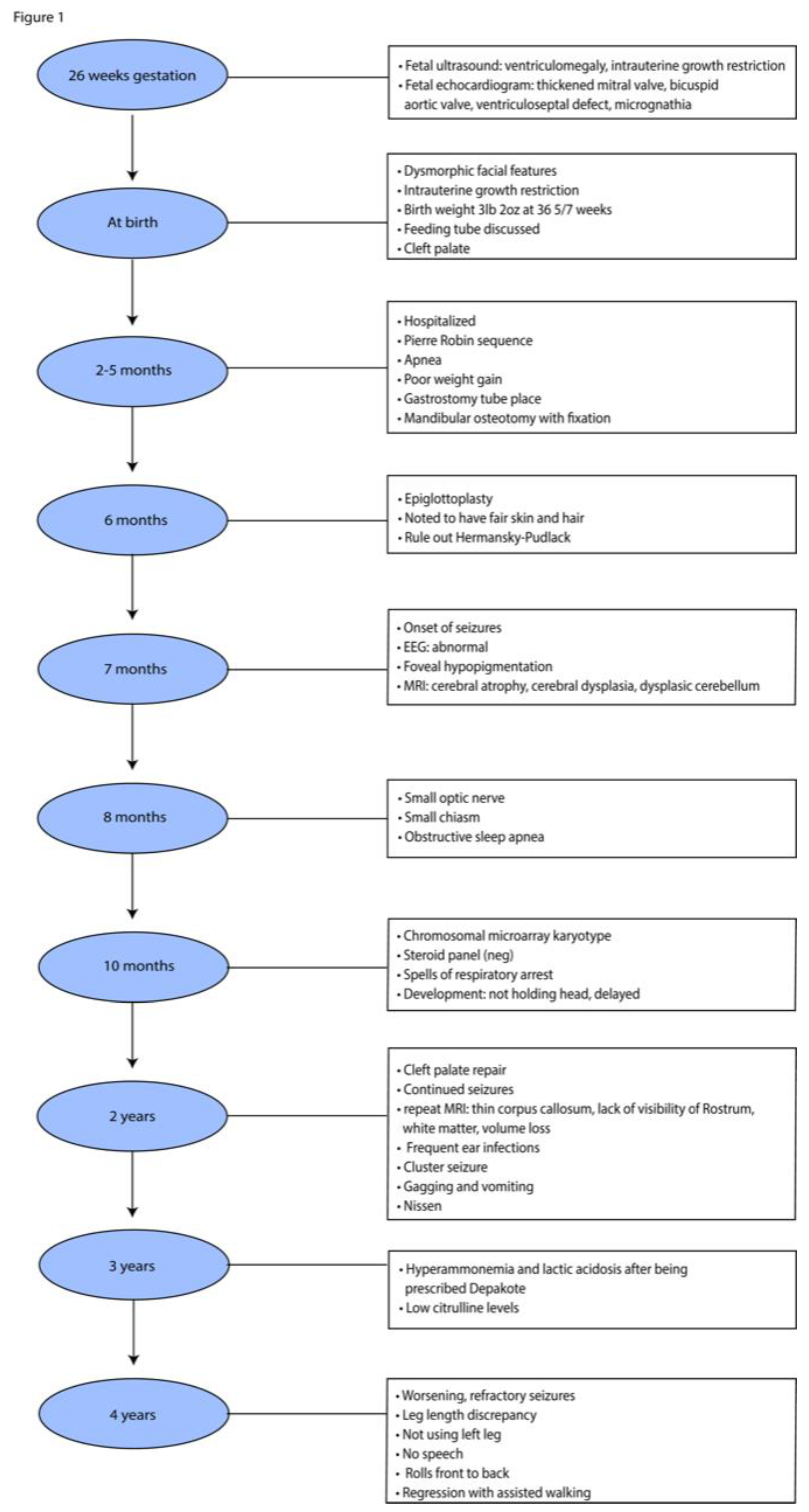 Preprints 93572 g001