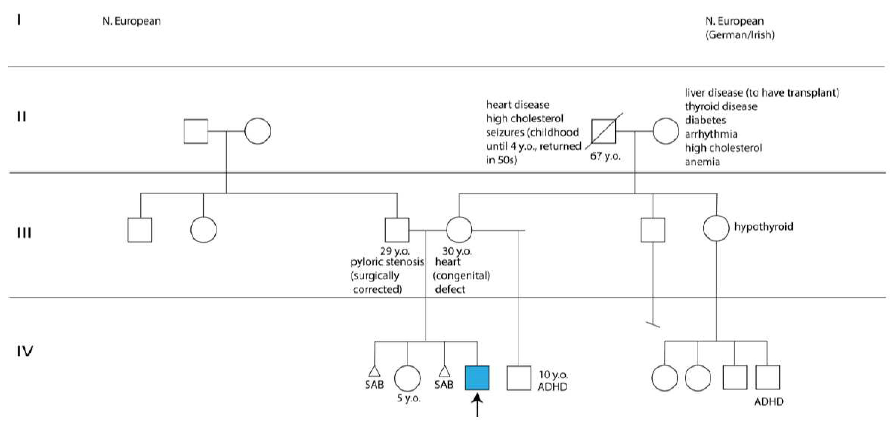 Preprints 93572 g002