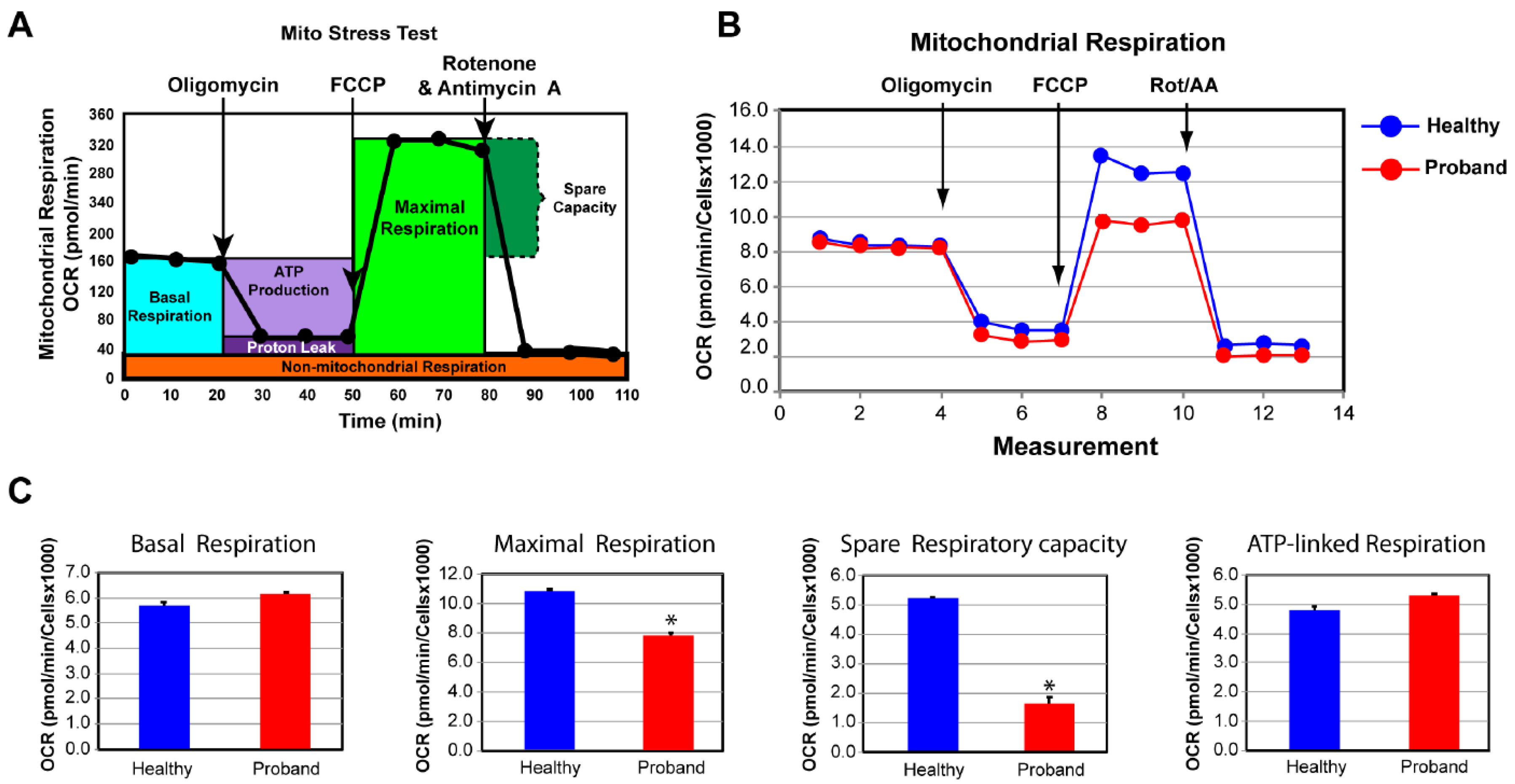 Preprints 93572 g004