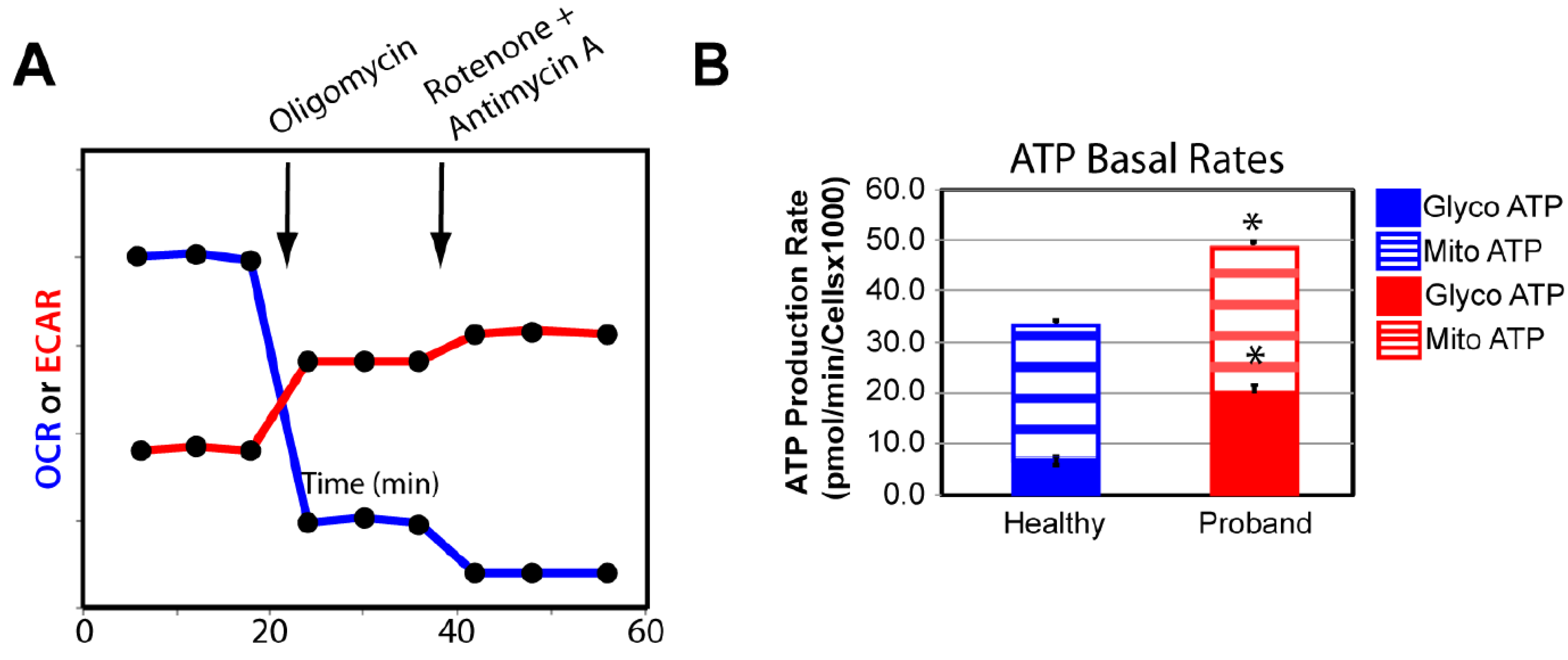 Preprints 93572 g006