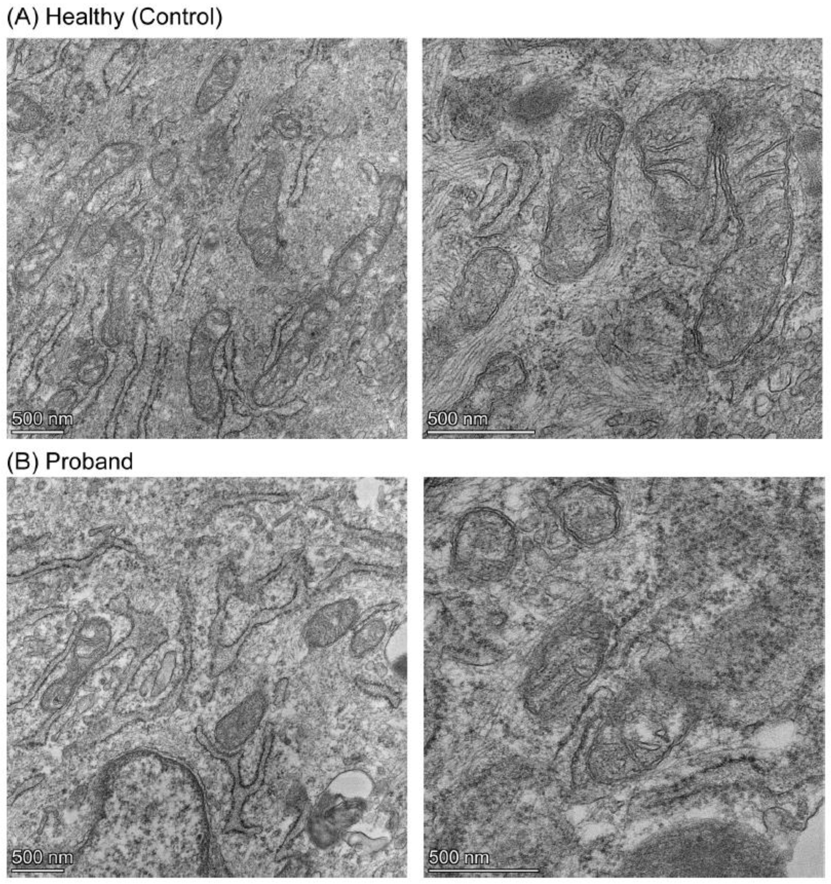 Preprints 93572 g007