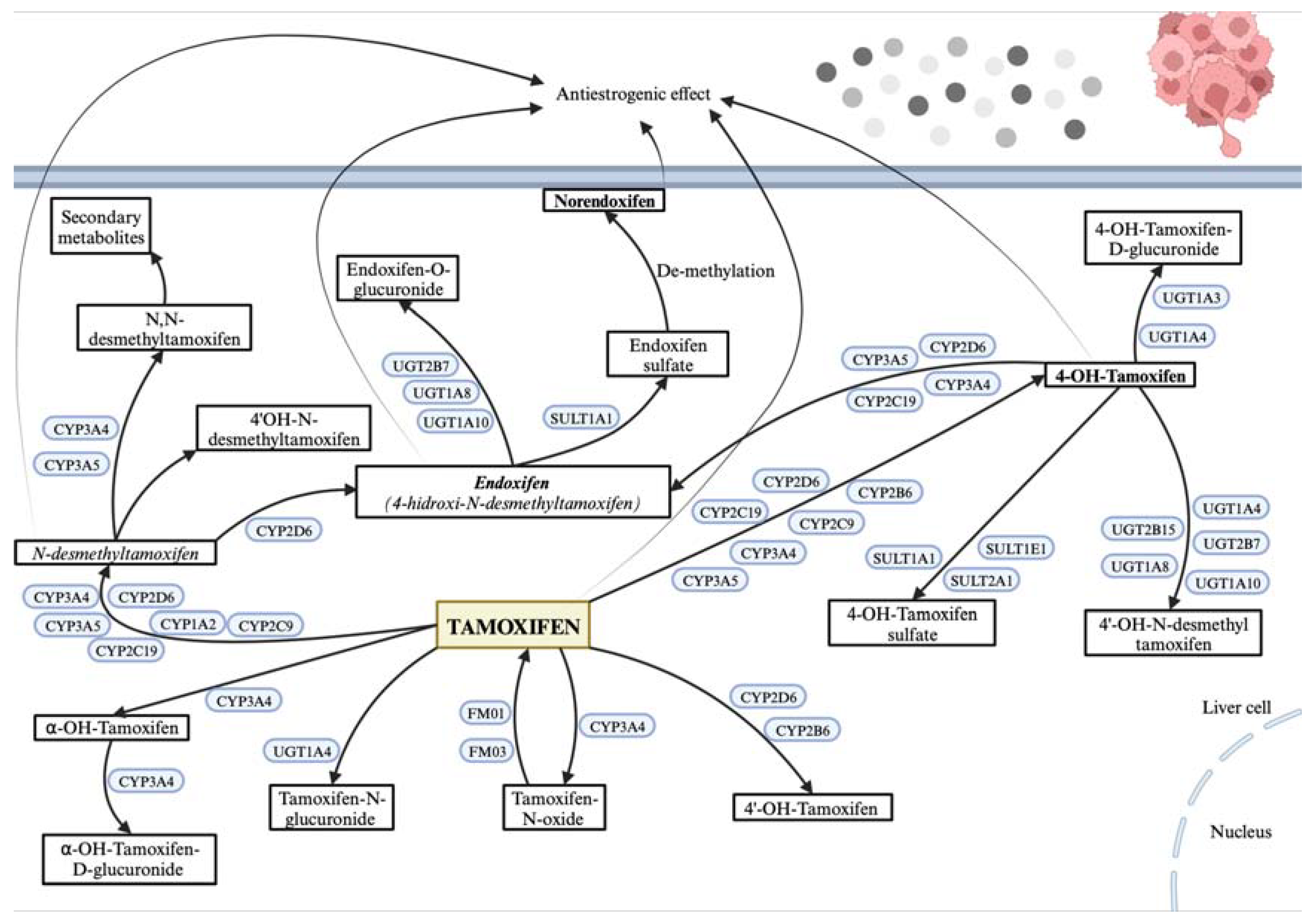 Preprints 114518 g001