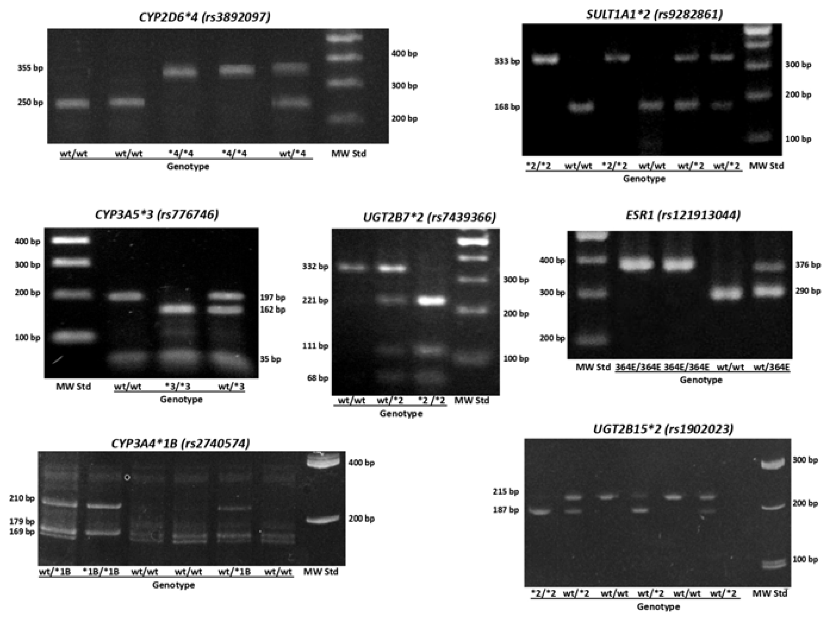 Preprints 114518 g002