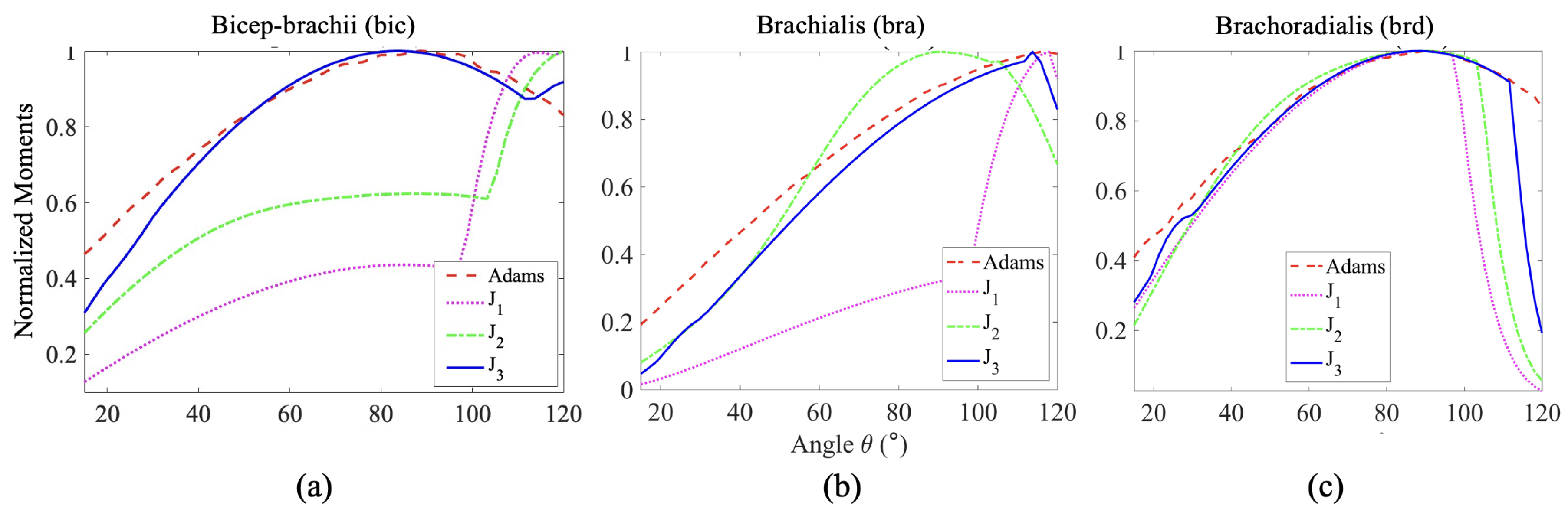 Preprints 111862 g008