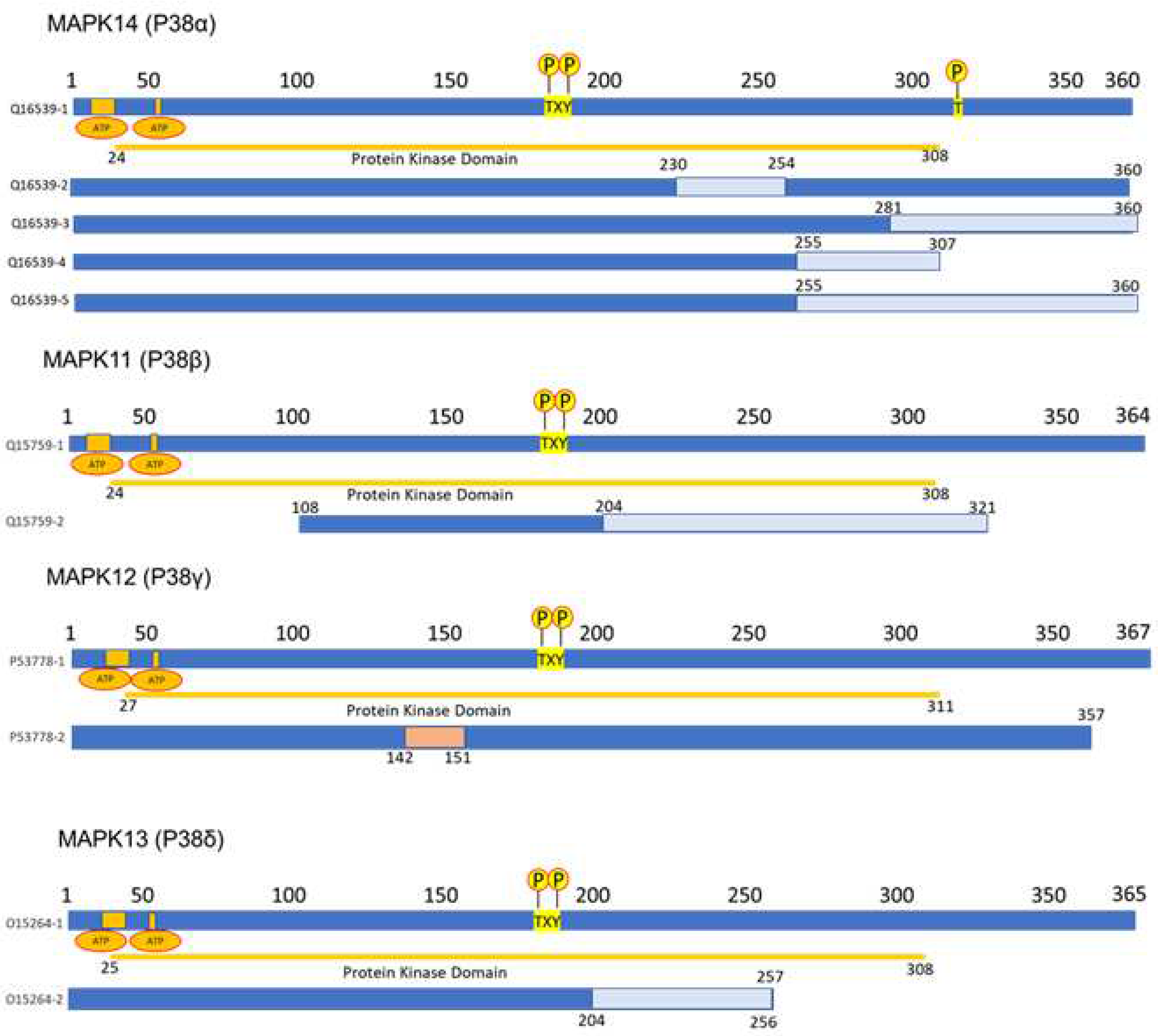 Preprints 94968 g001