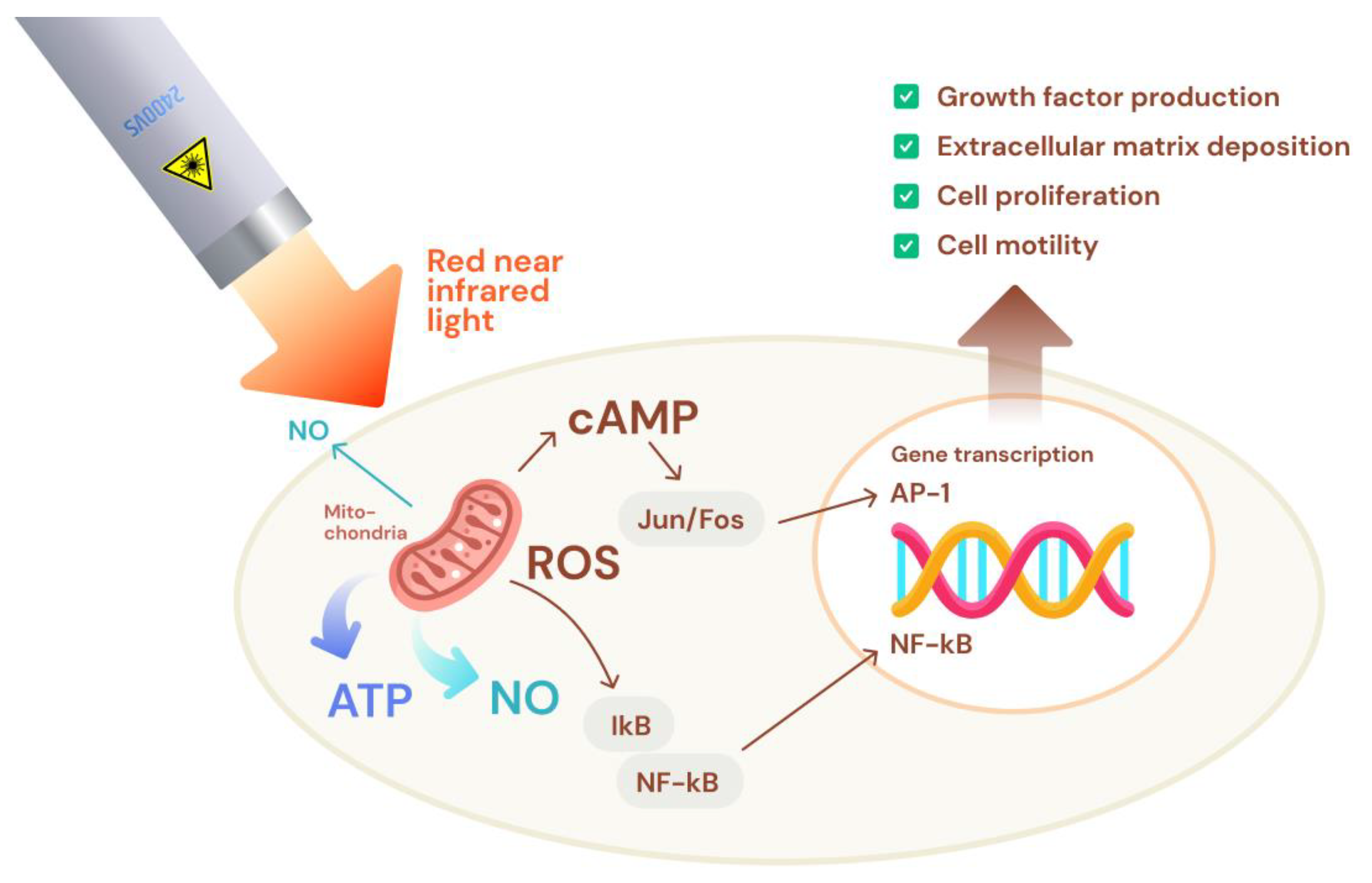 Preprints 108191 g001