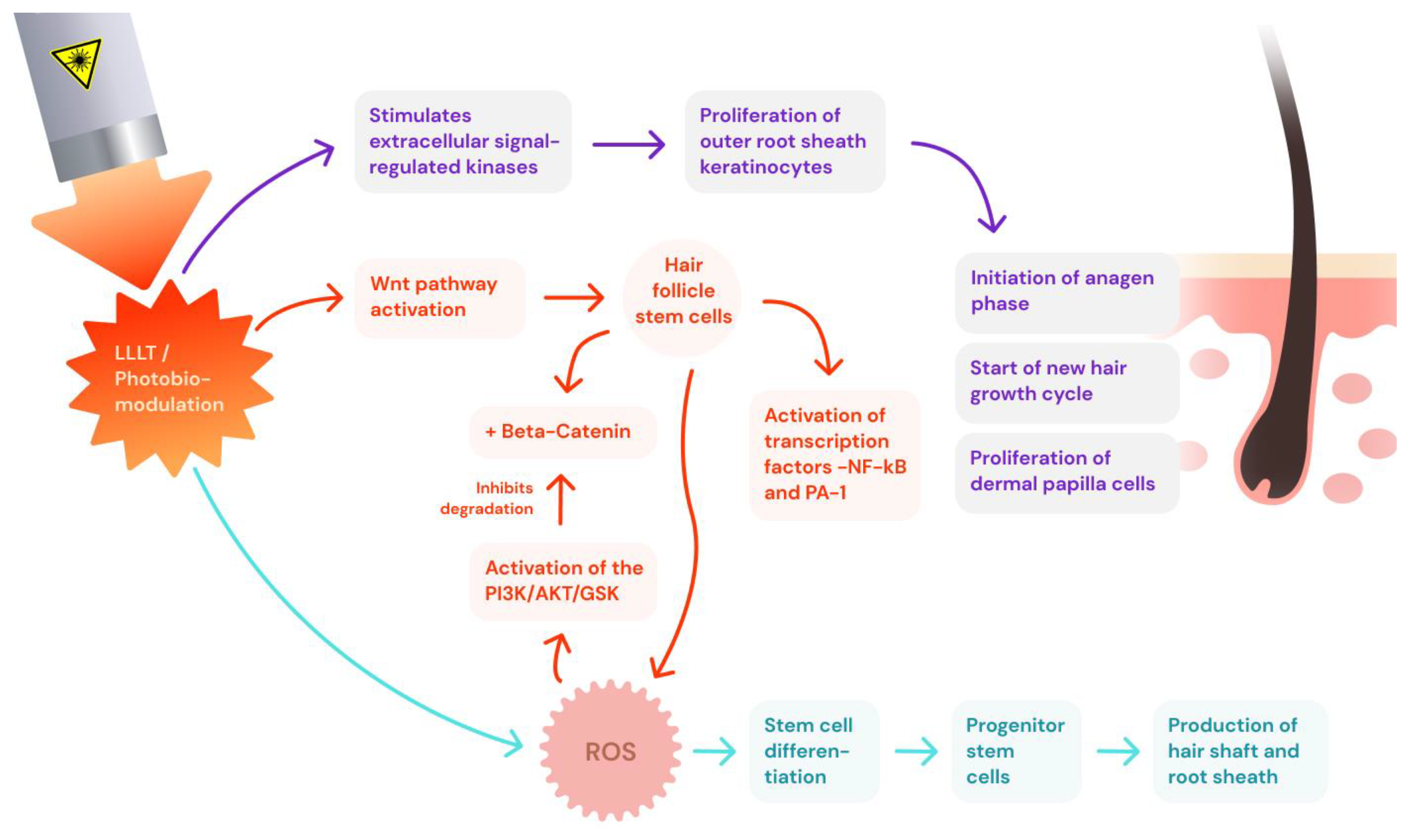 Preprints 108191 g002