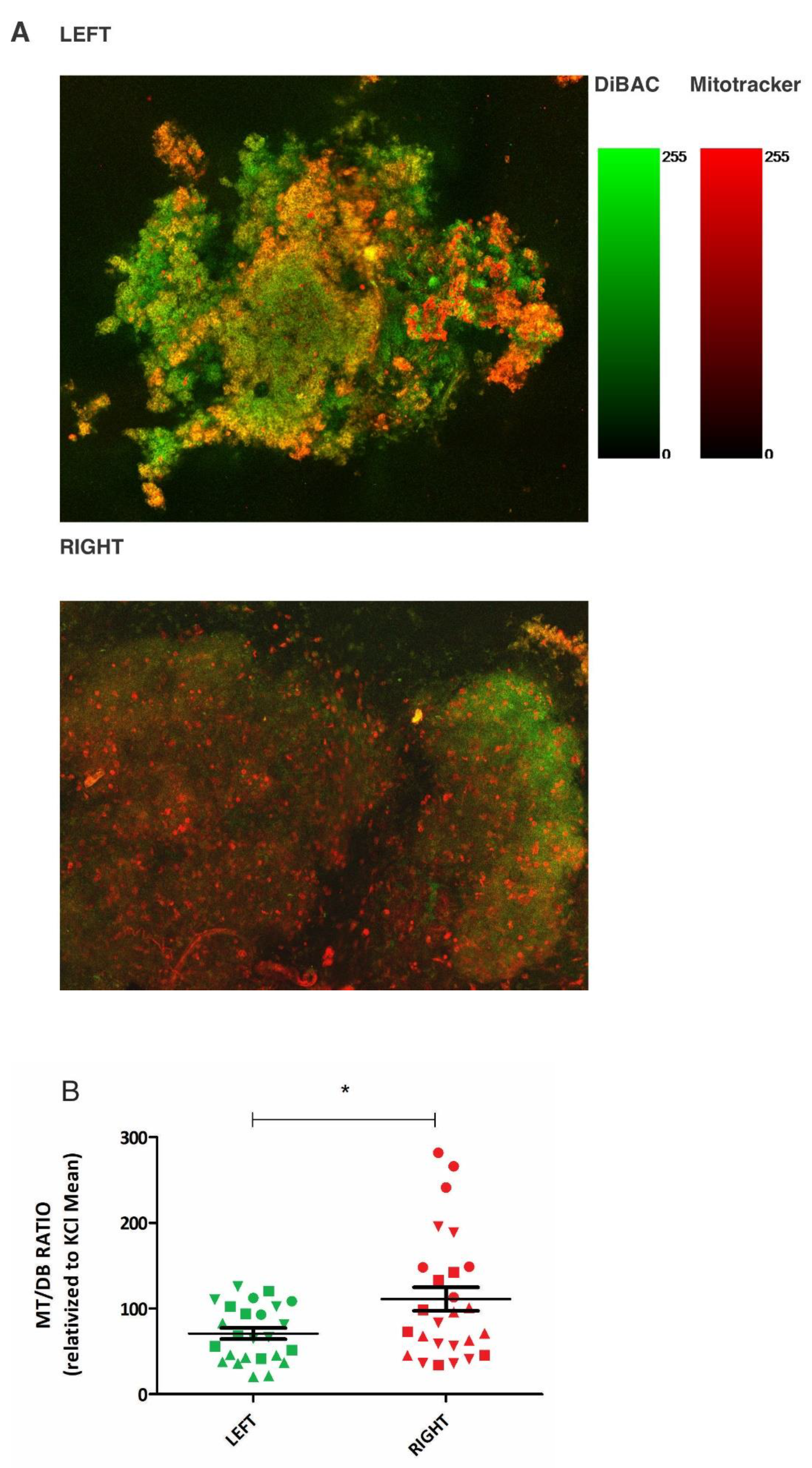 Preprints 73463 g001