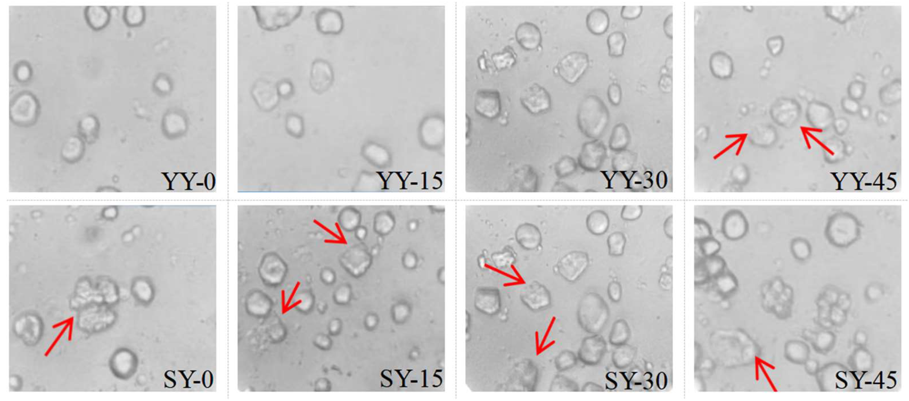 Preprints 115079 g007