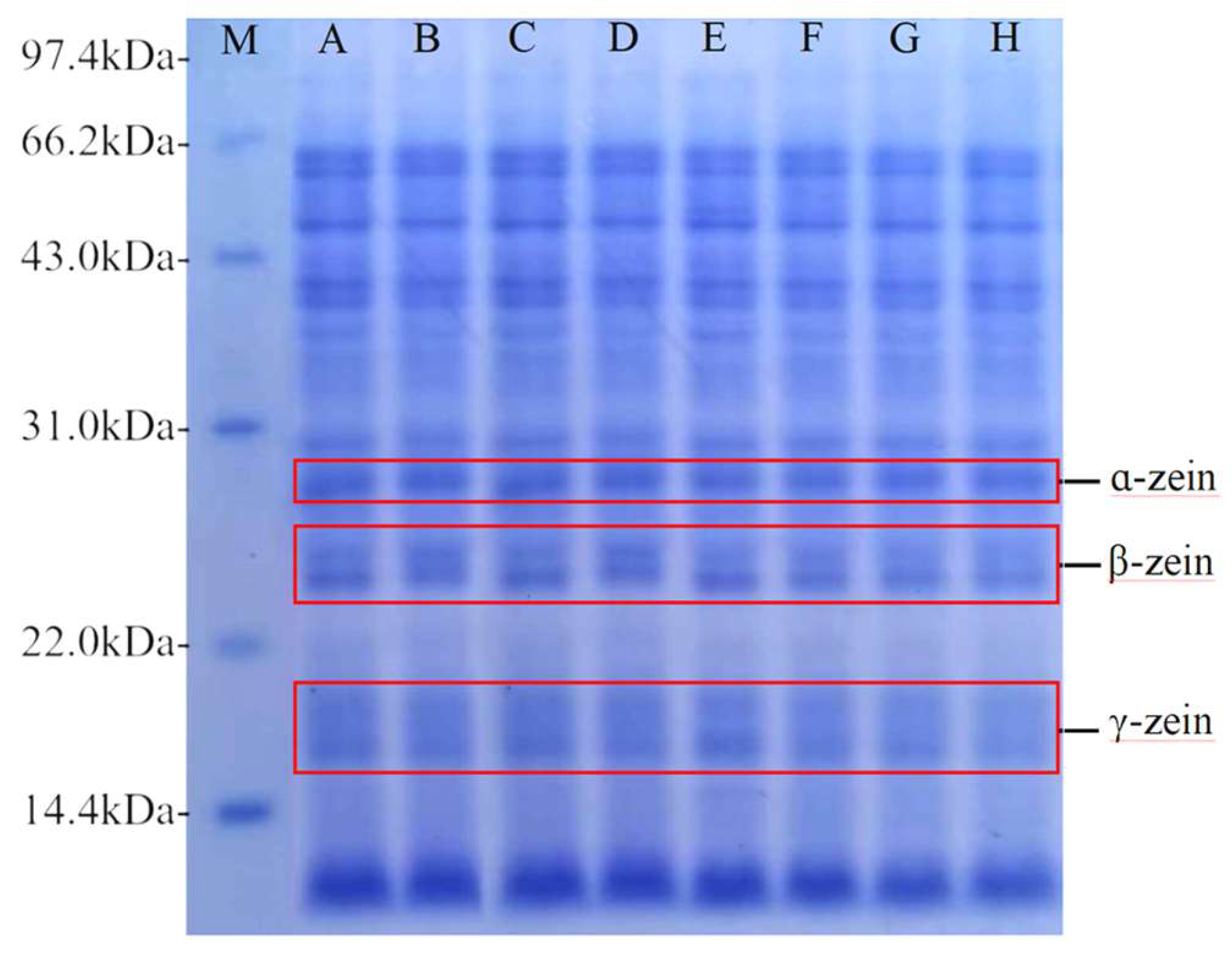 Preprints 115079 g012