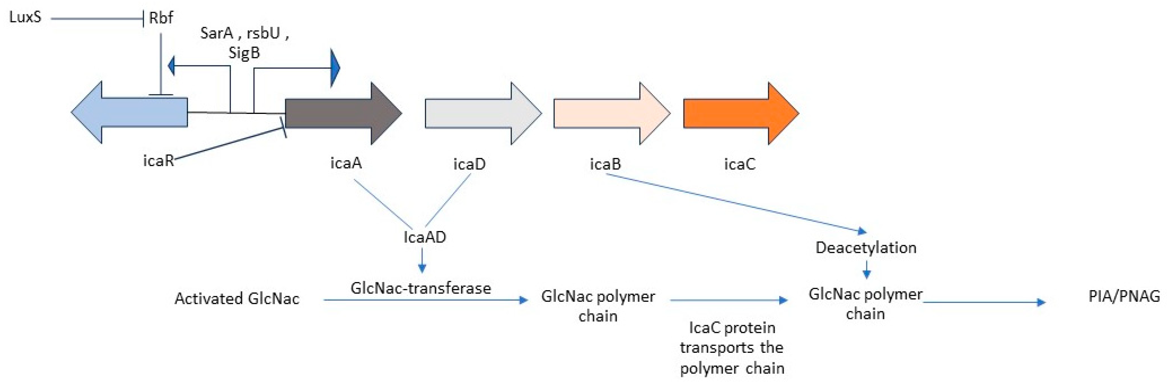 Preprints 119865 g002