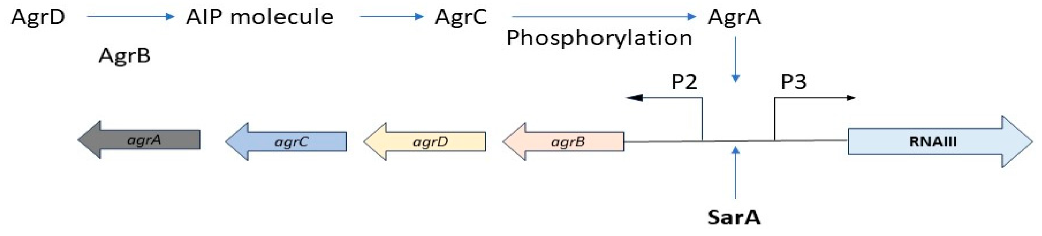 Preprints 119865 g003