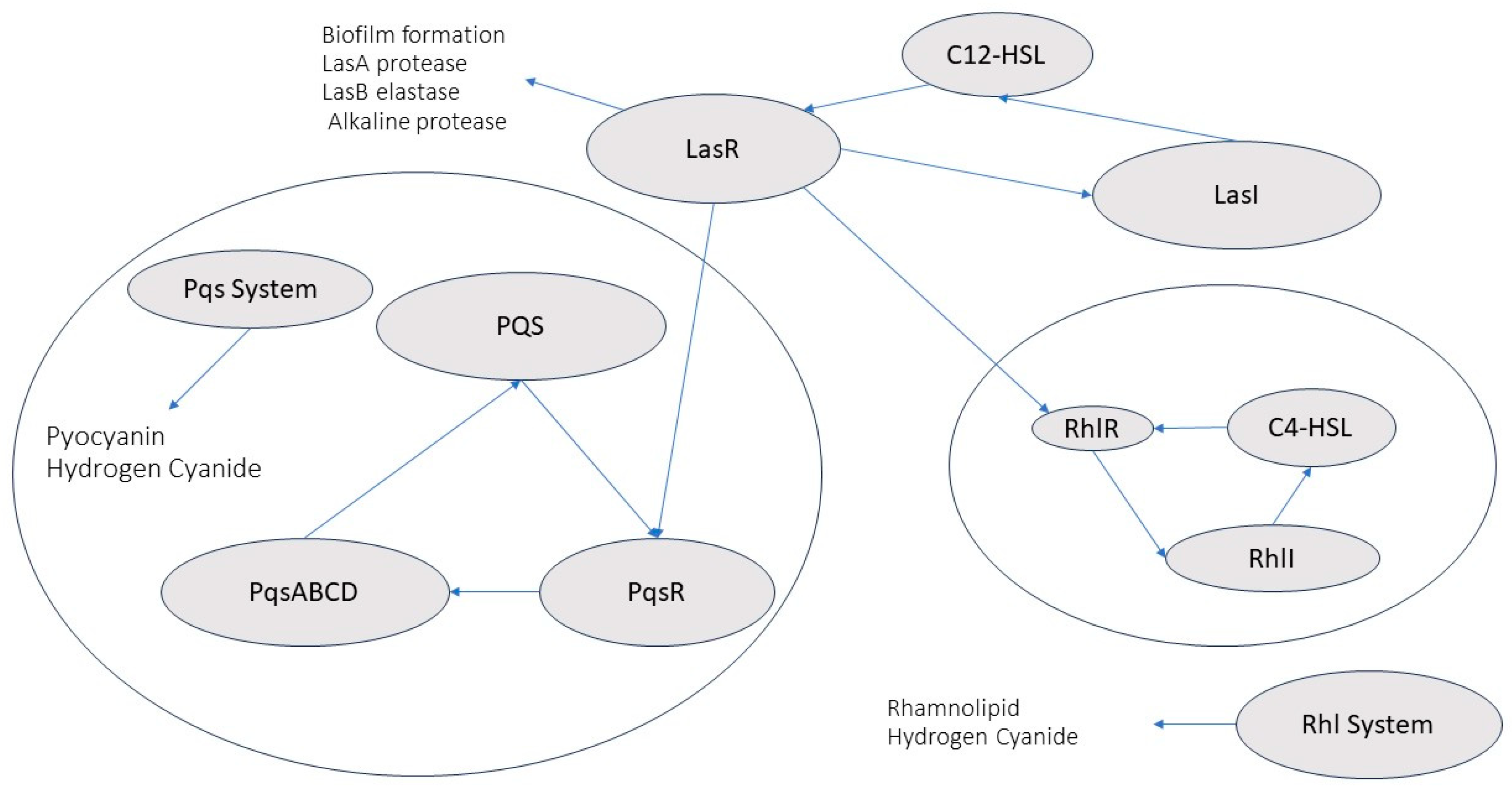 Preprints 119865 g004