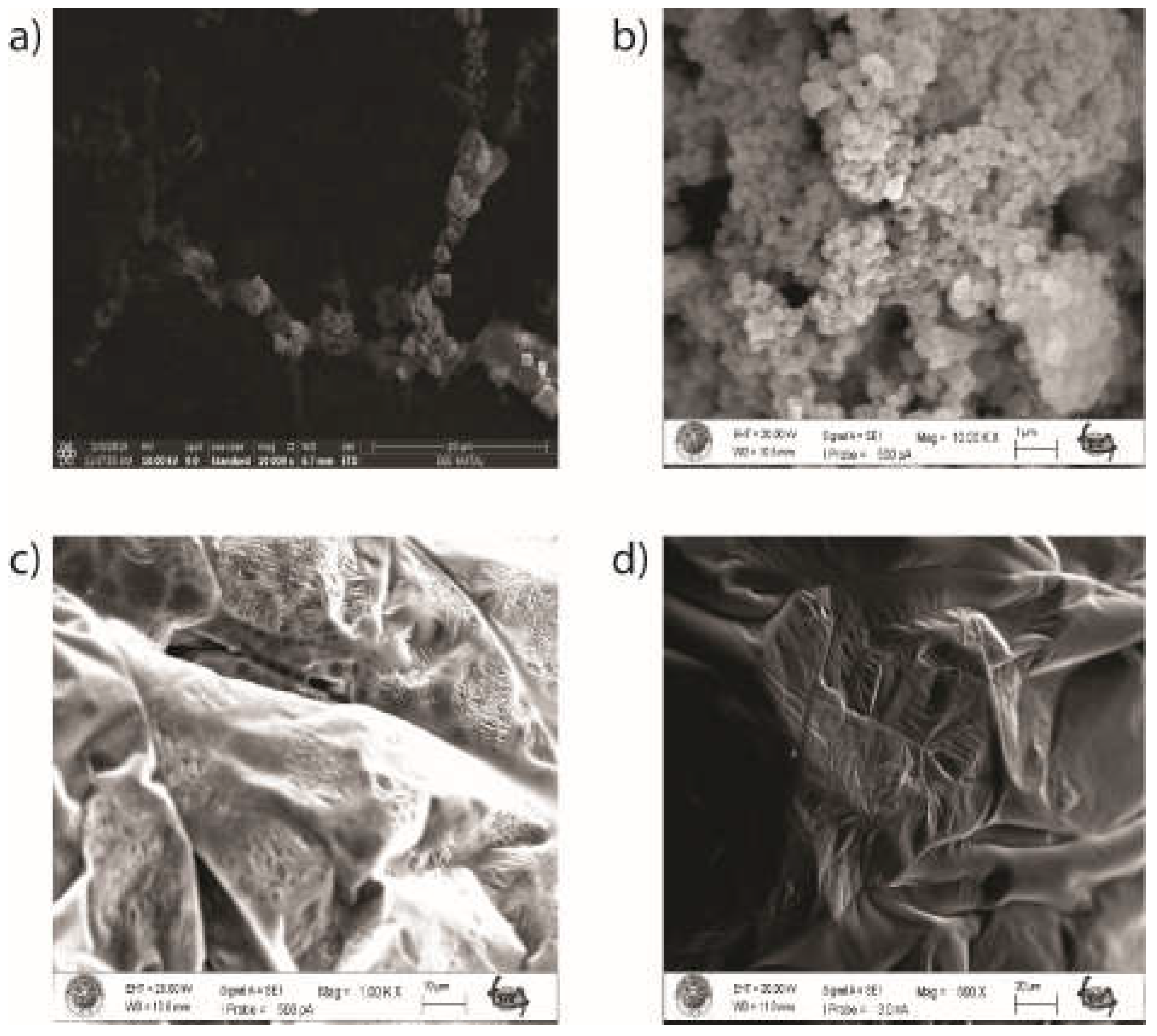 Preprints 69056 g002