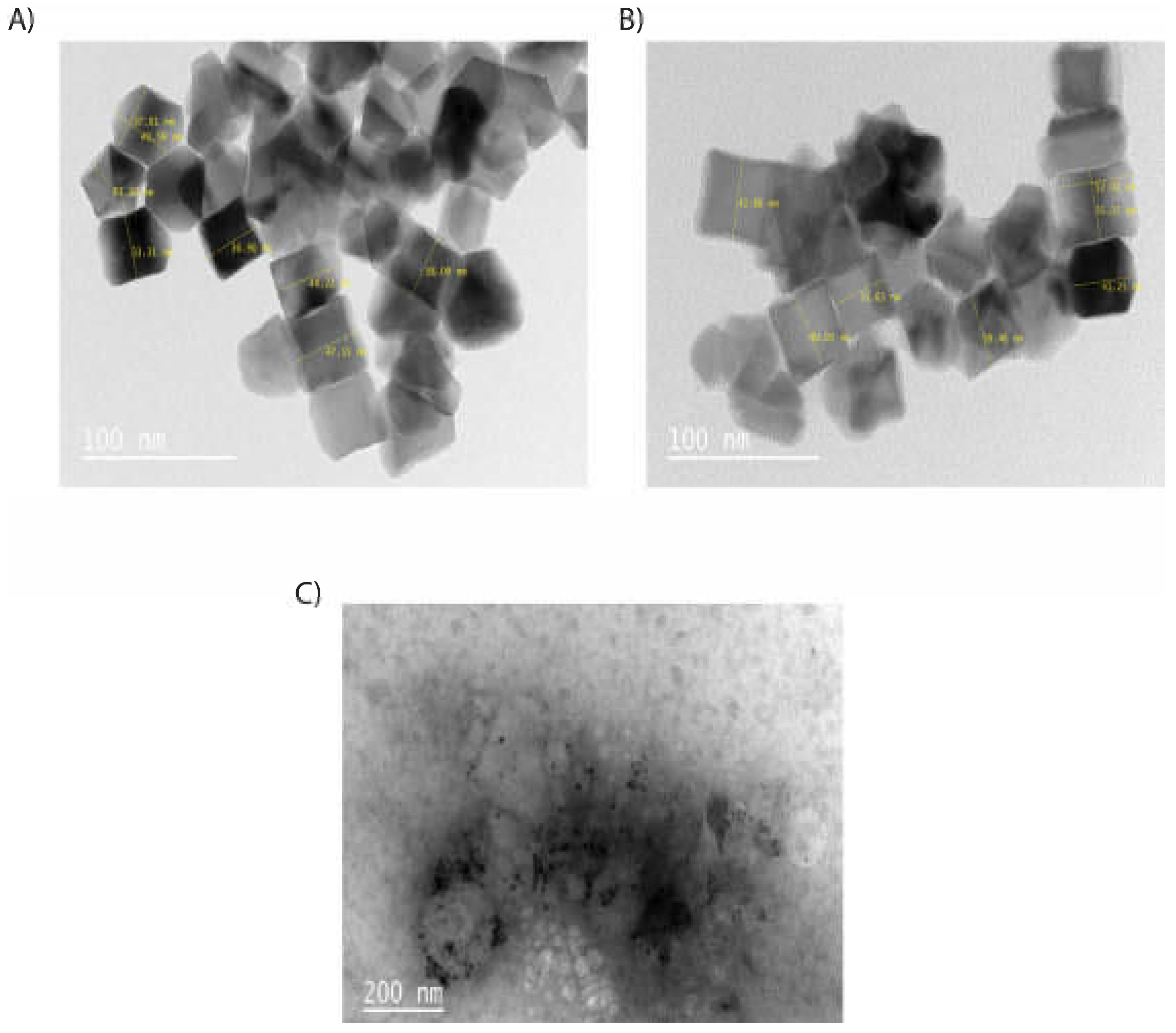 Preprints 69056 g003