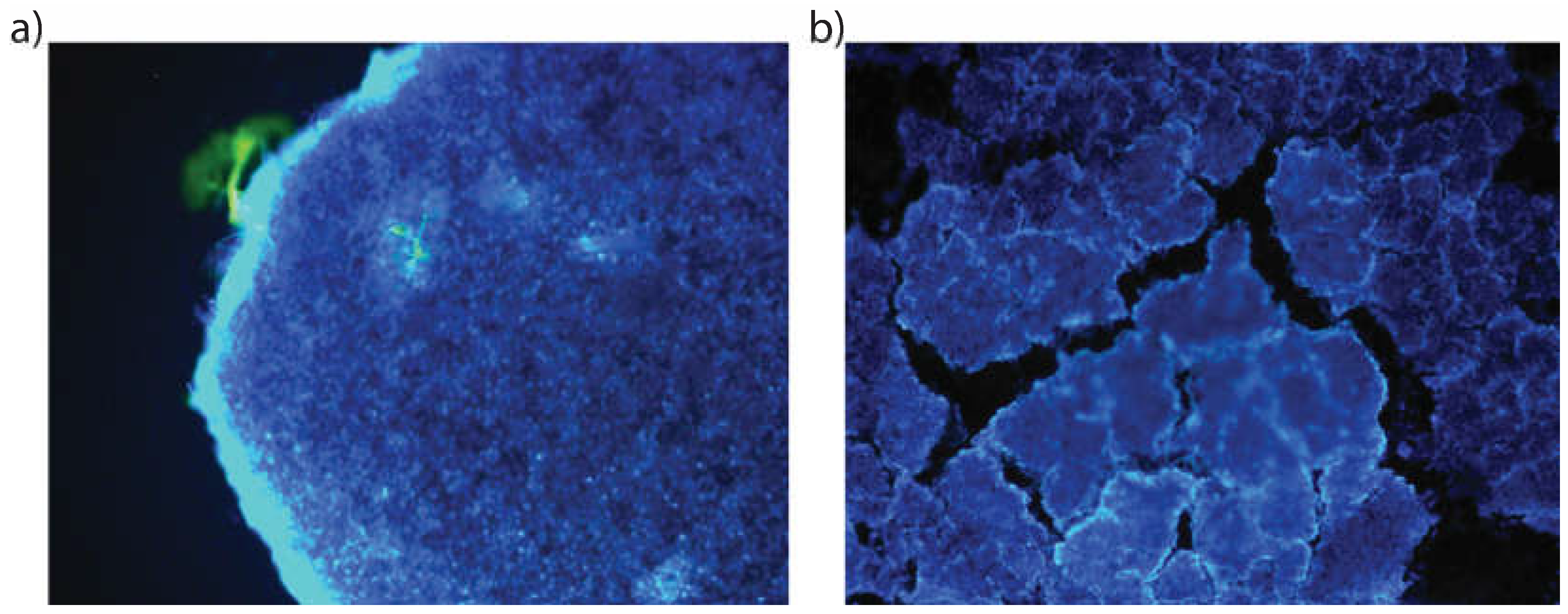 Preprints 69056 g008