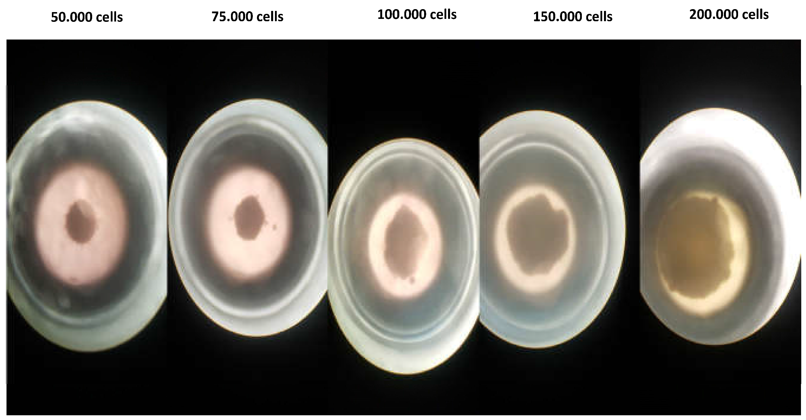 Preprints 69056 g010