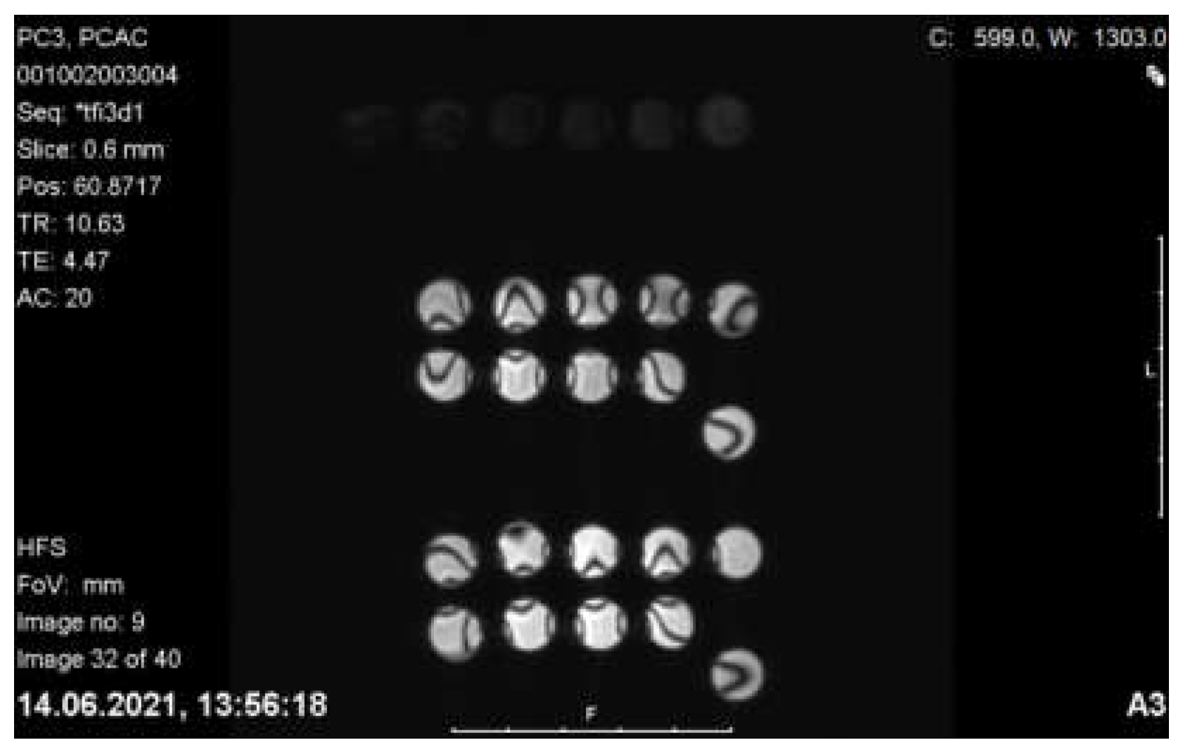 Preprints 69056 g011