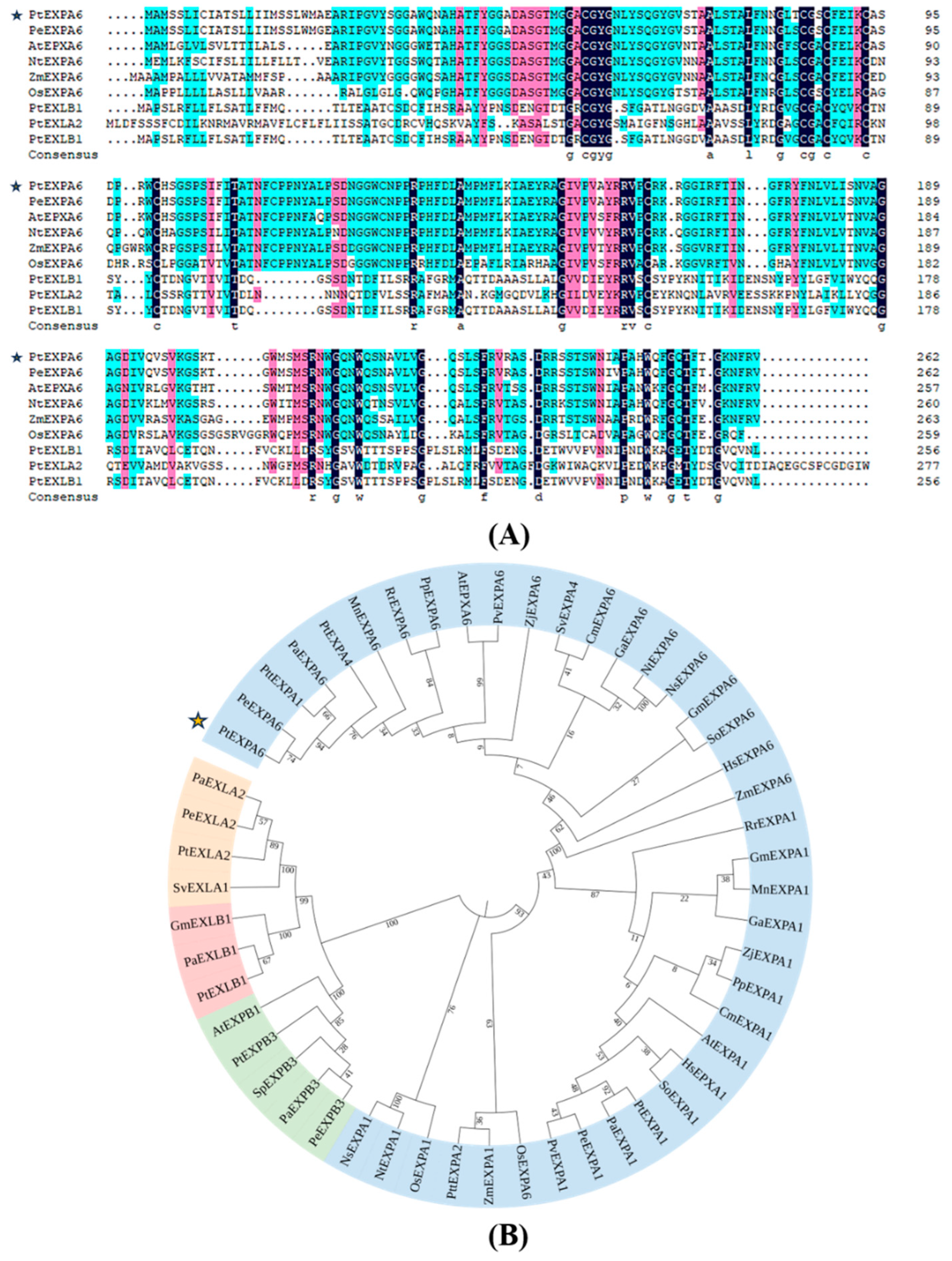 Preprints 114882 g002