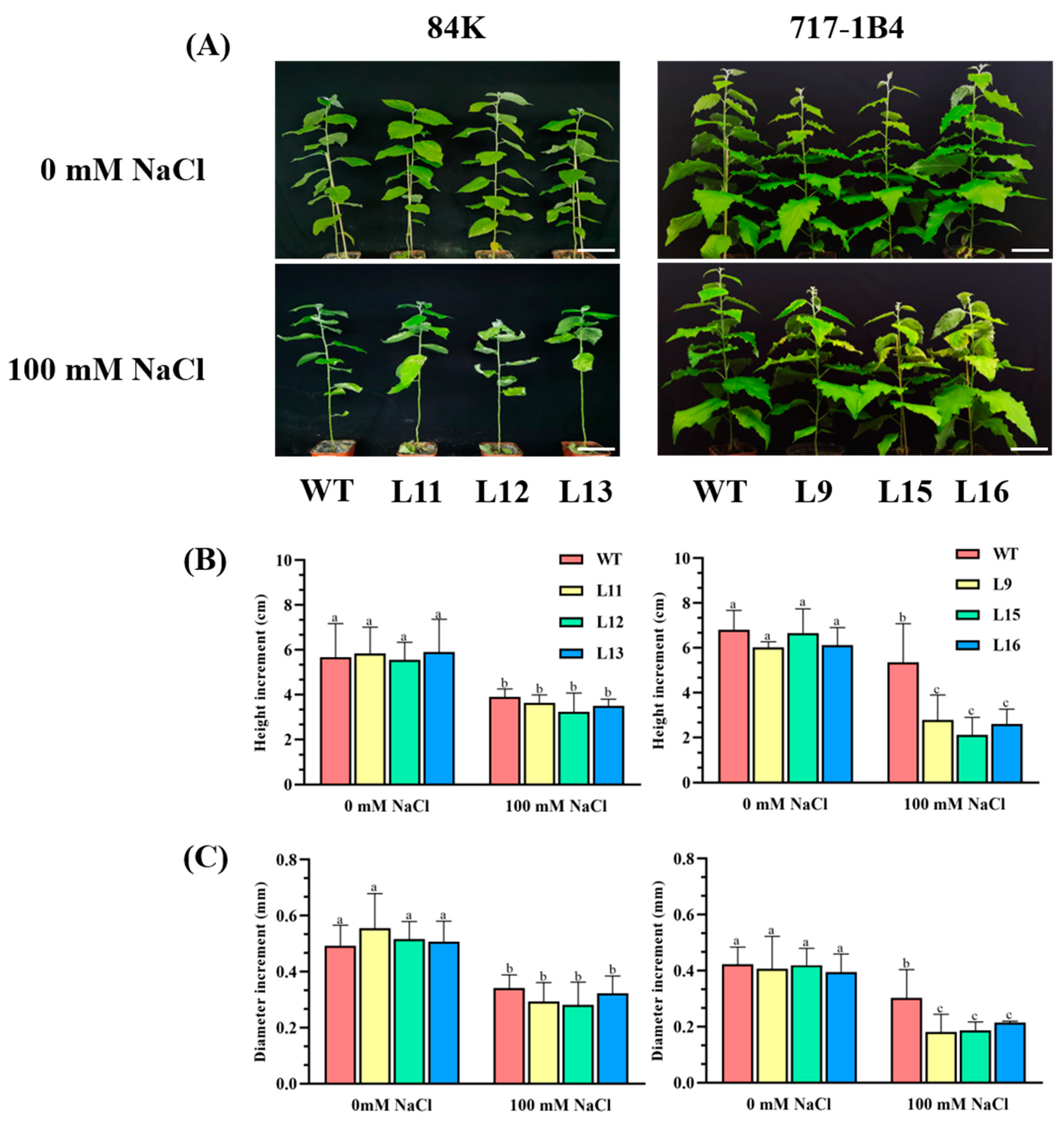 Preprints 114882 g004