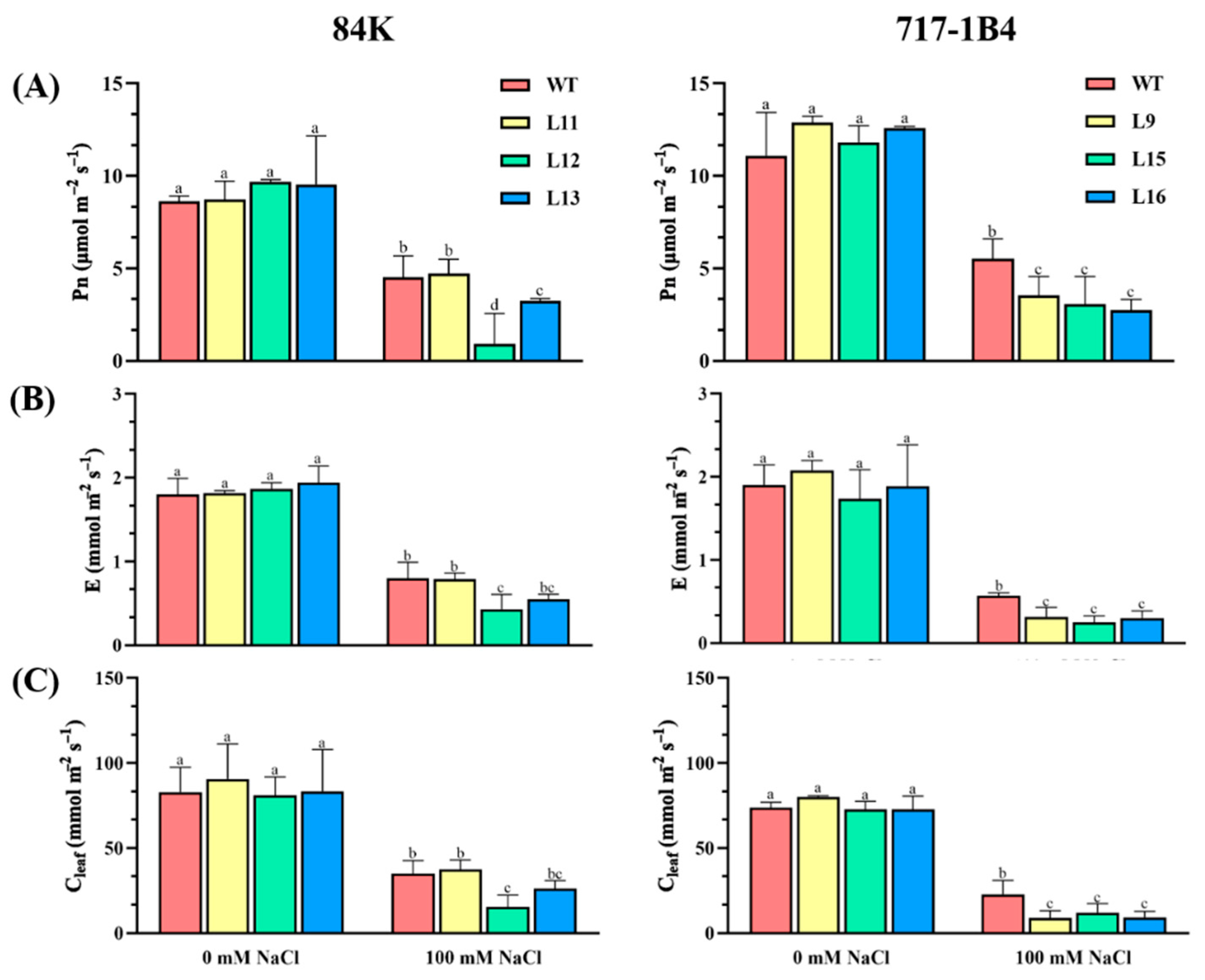 Preprints 114882 g005