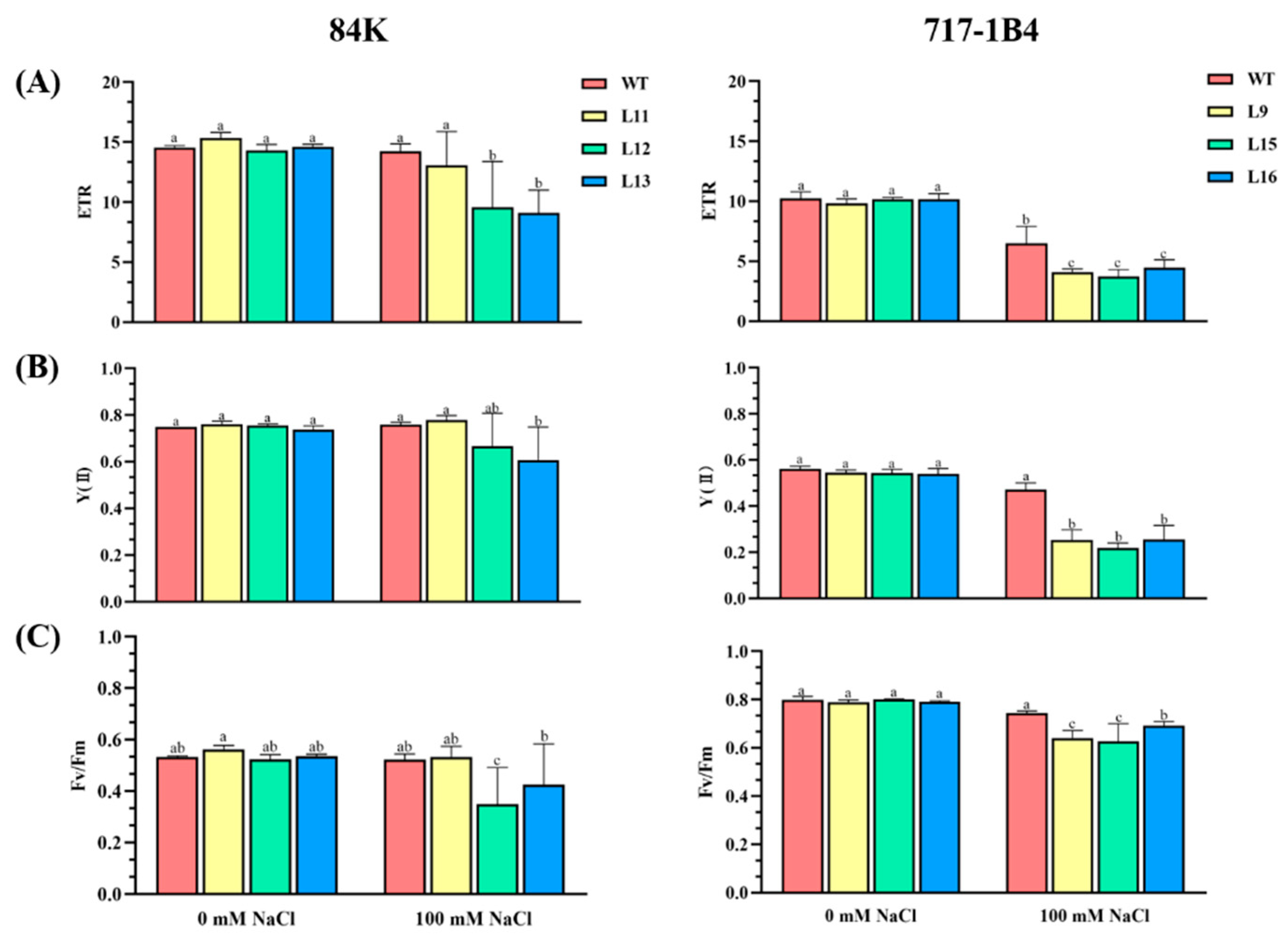 Preprints 114882 g006