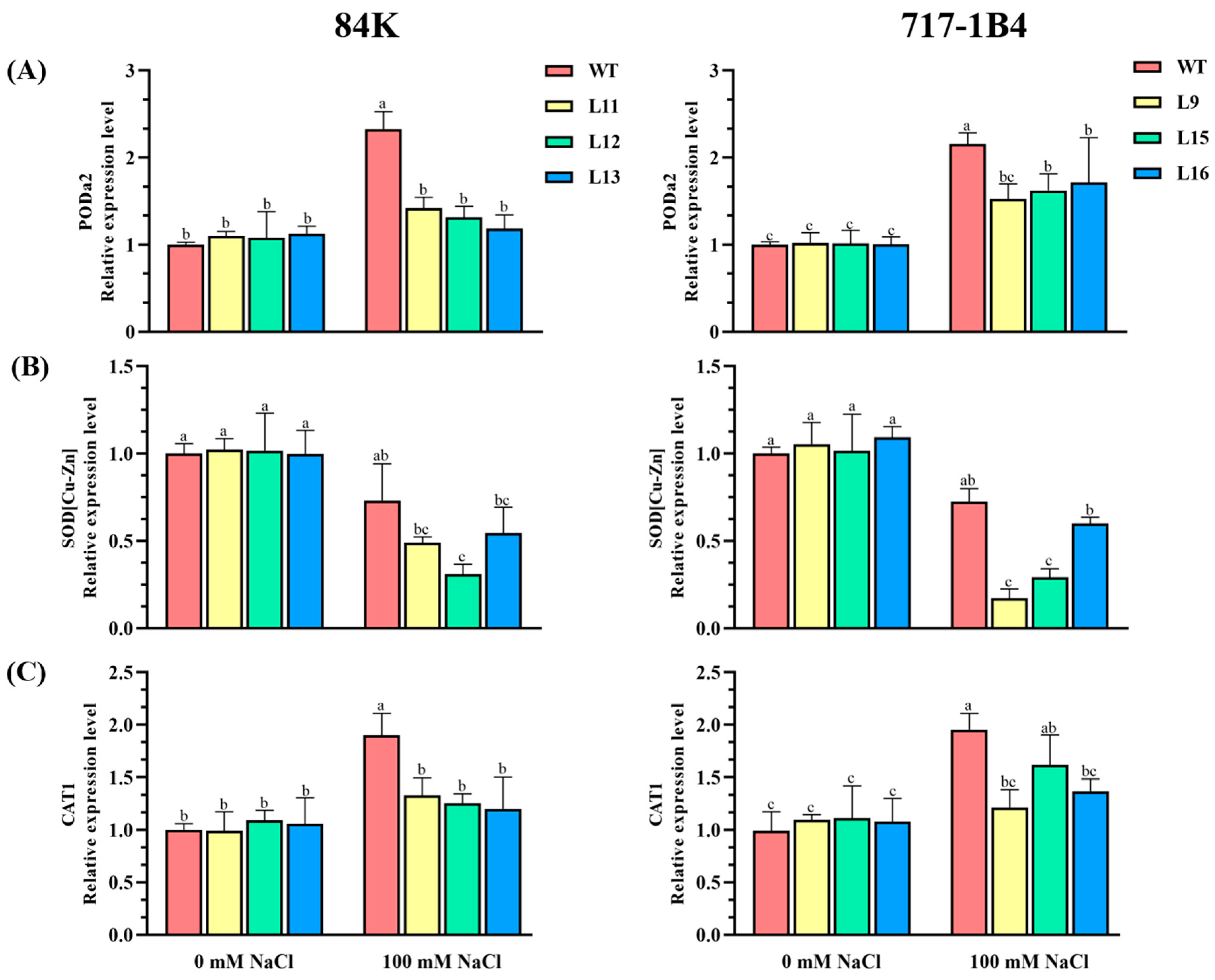 Preprints 114882 g008