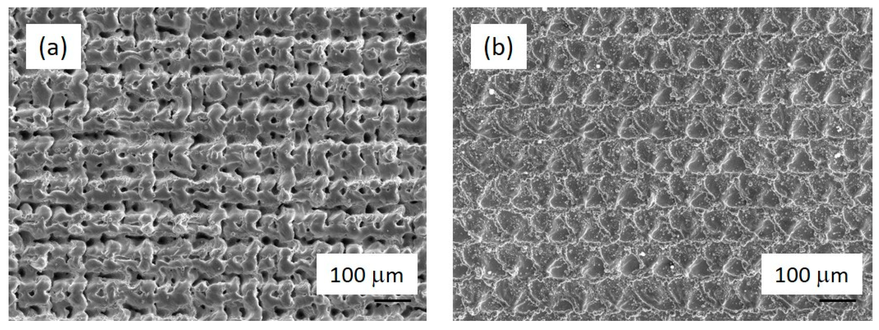 Preprints 80223 g002