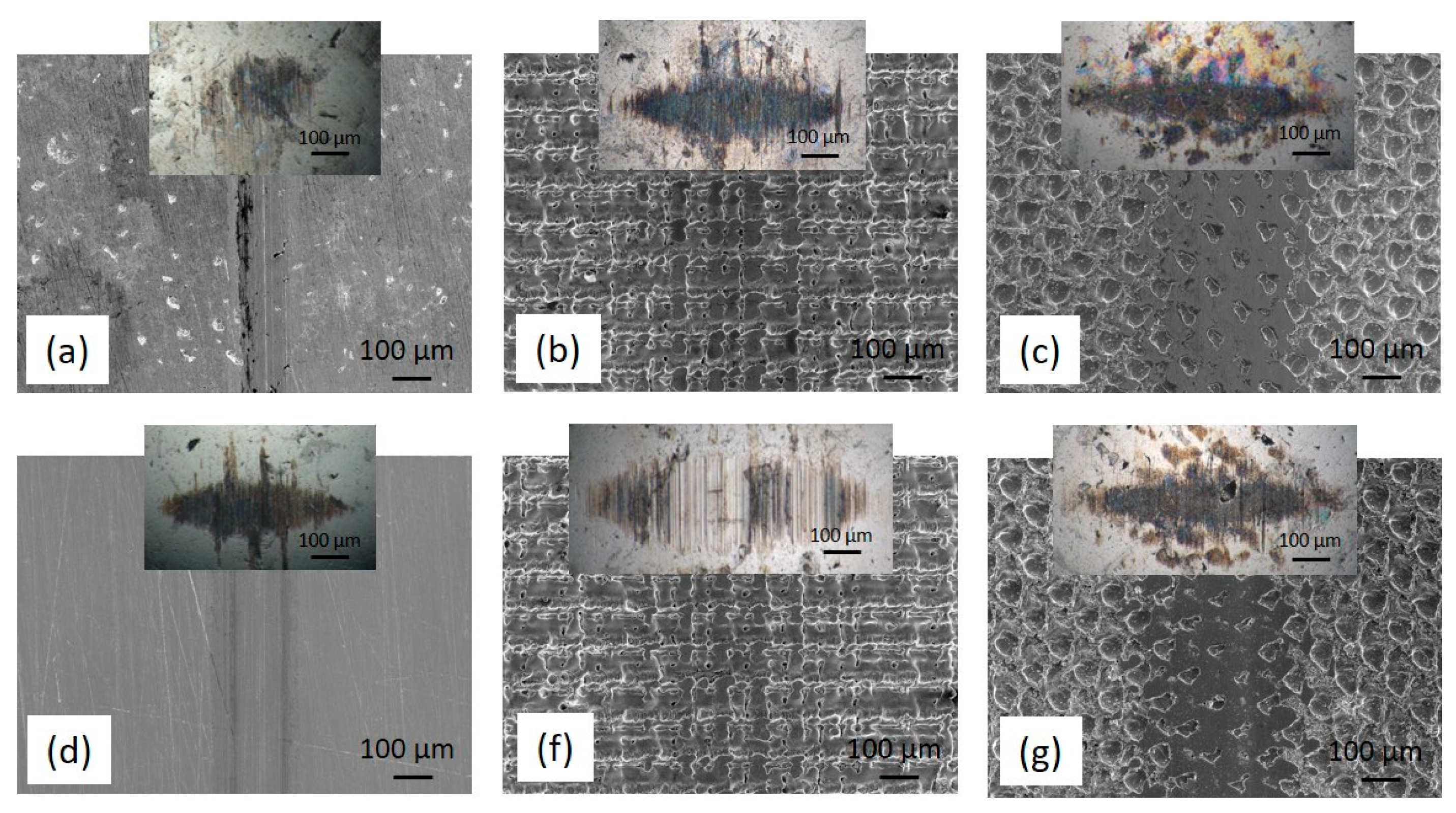 Preprints 80223 g008